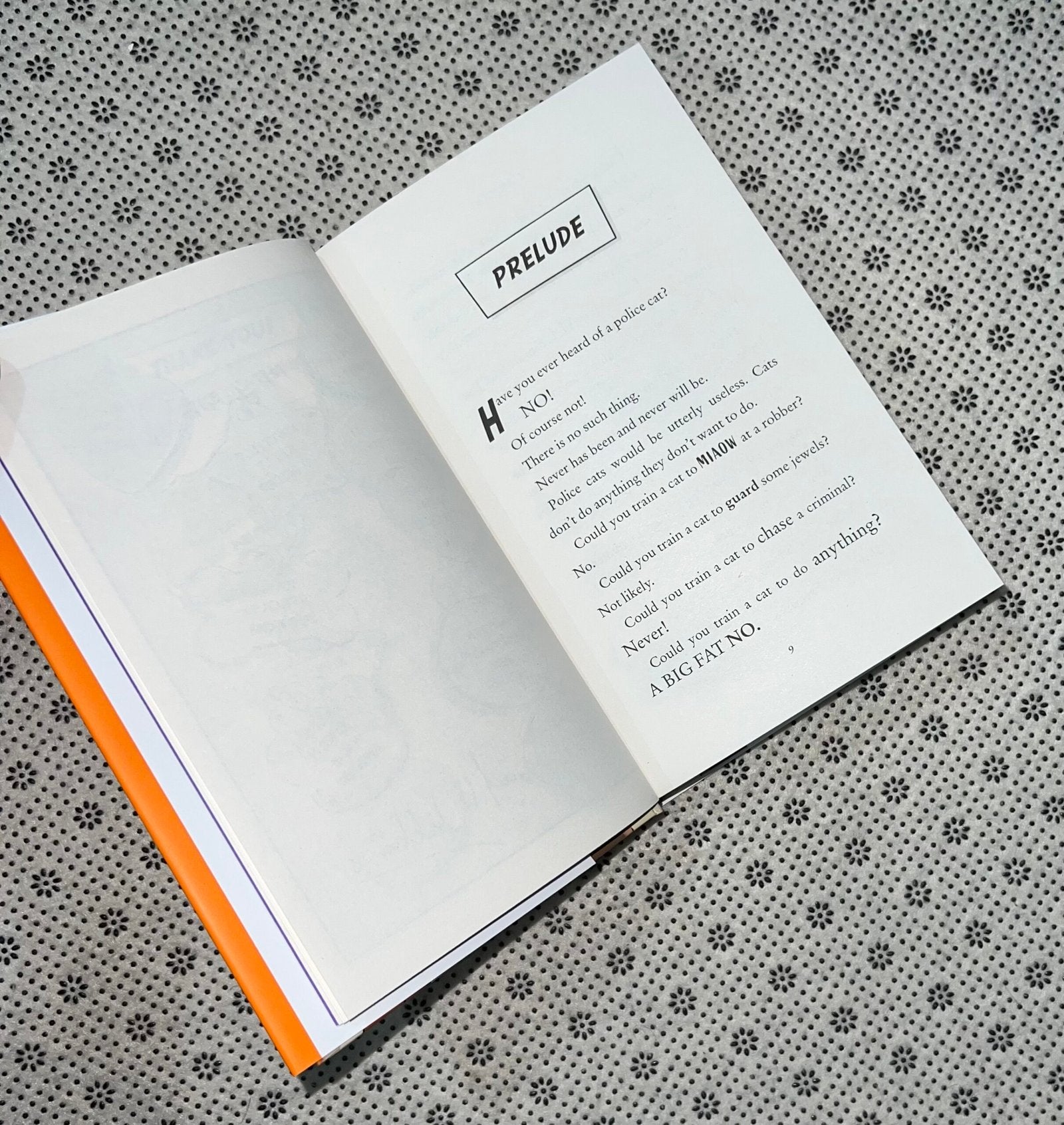 robodog by david walliams