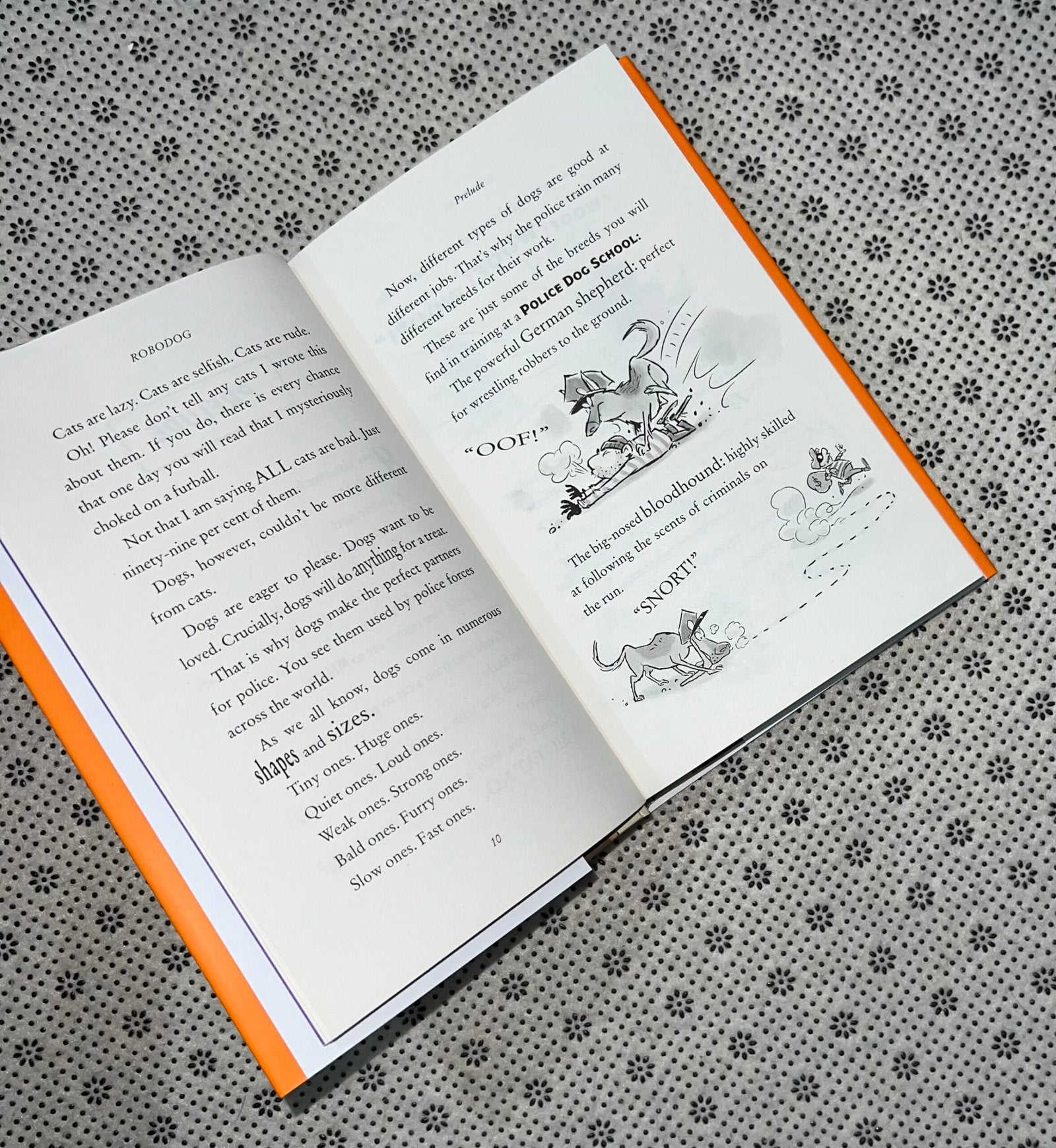 robodog by david walliams