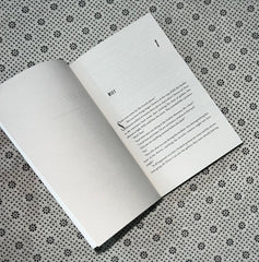 portrait of a thief the international bestseller by grace d li