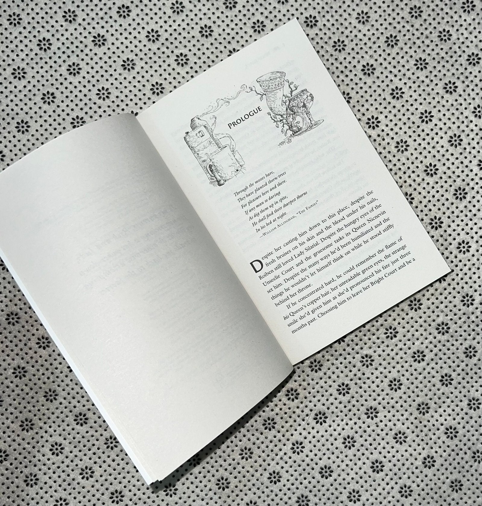 ironside by holly black