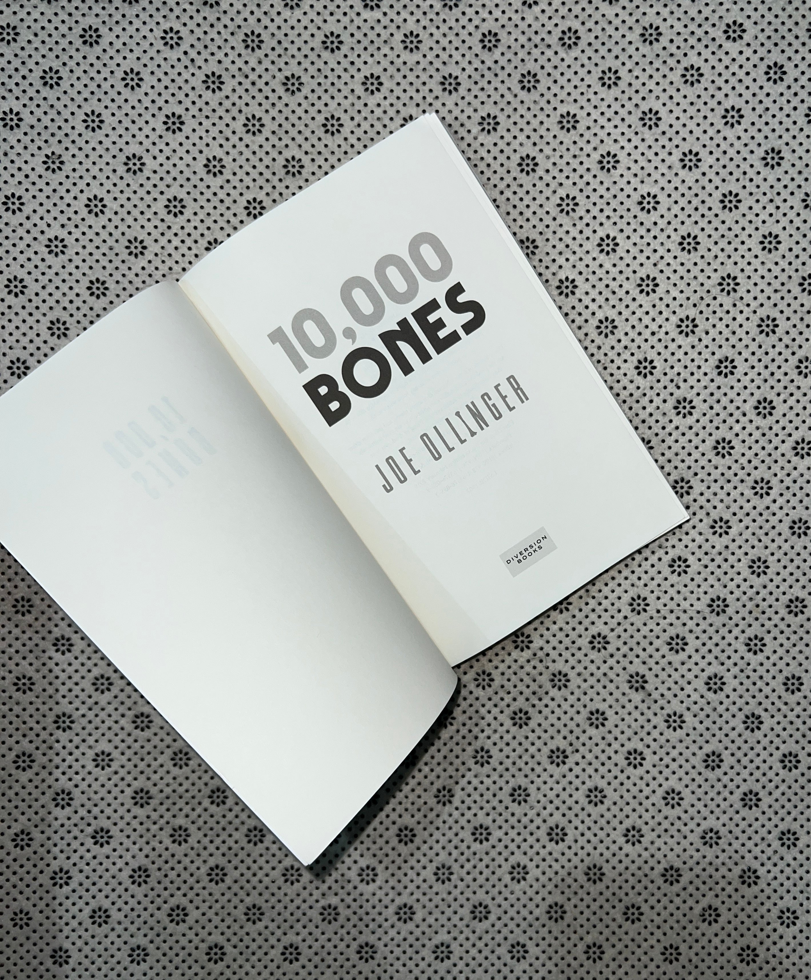 10,000 BONES by Joe Ollinger