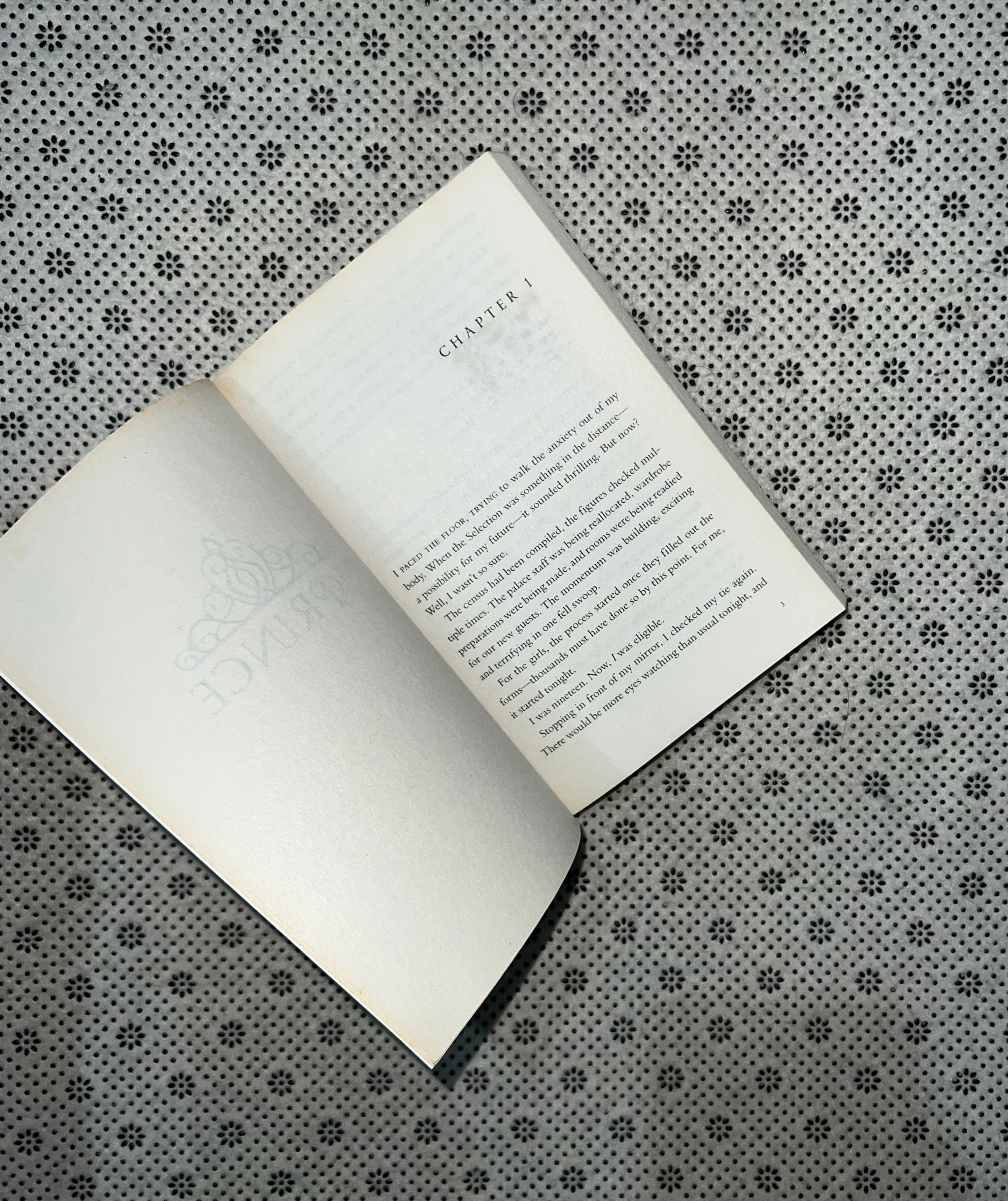 THE SELECTION STORIES: THE PRINCE & THE GUARD by Kiera Cass