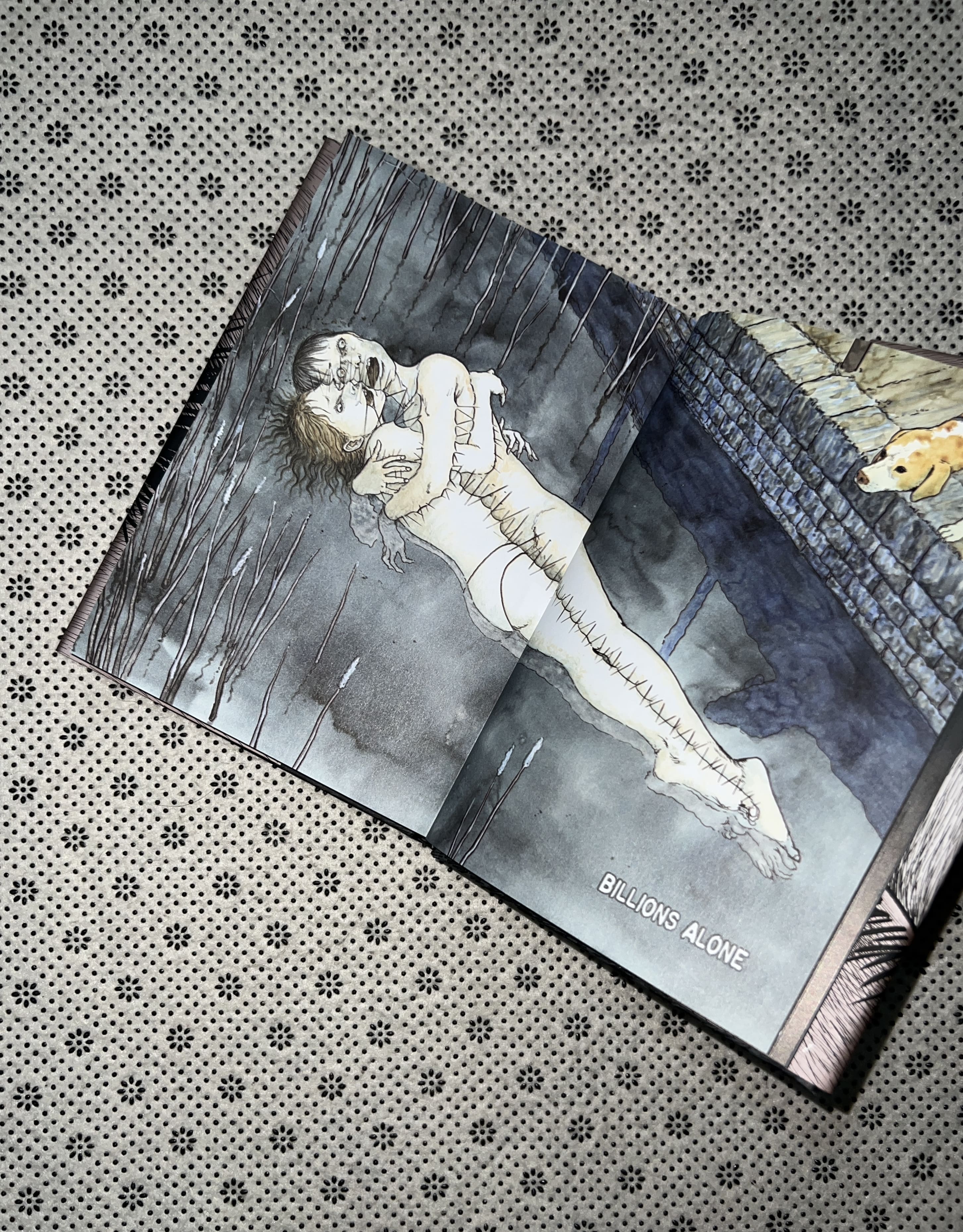 VENUS IN THE BLIND SPOT by Junji Ito 