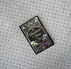 the adventures of amina al sirafi by s a chakraborty 1