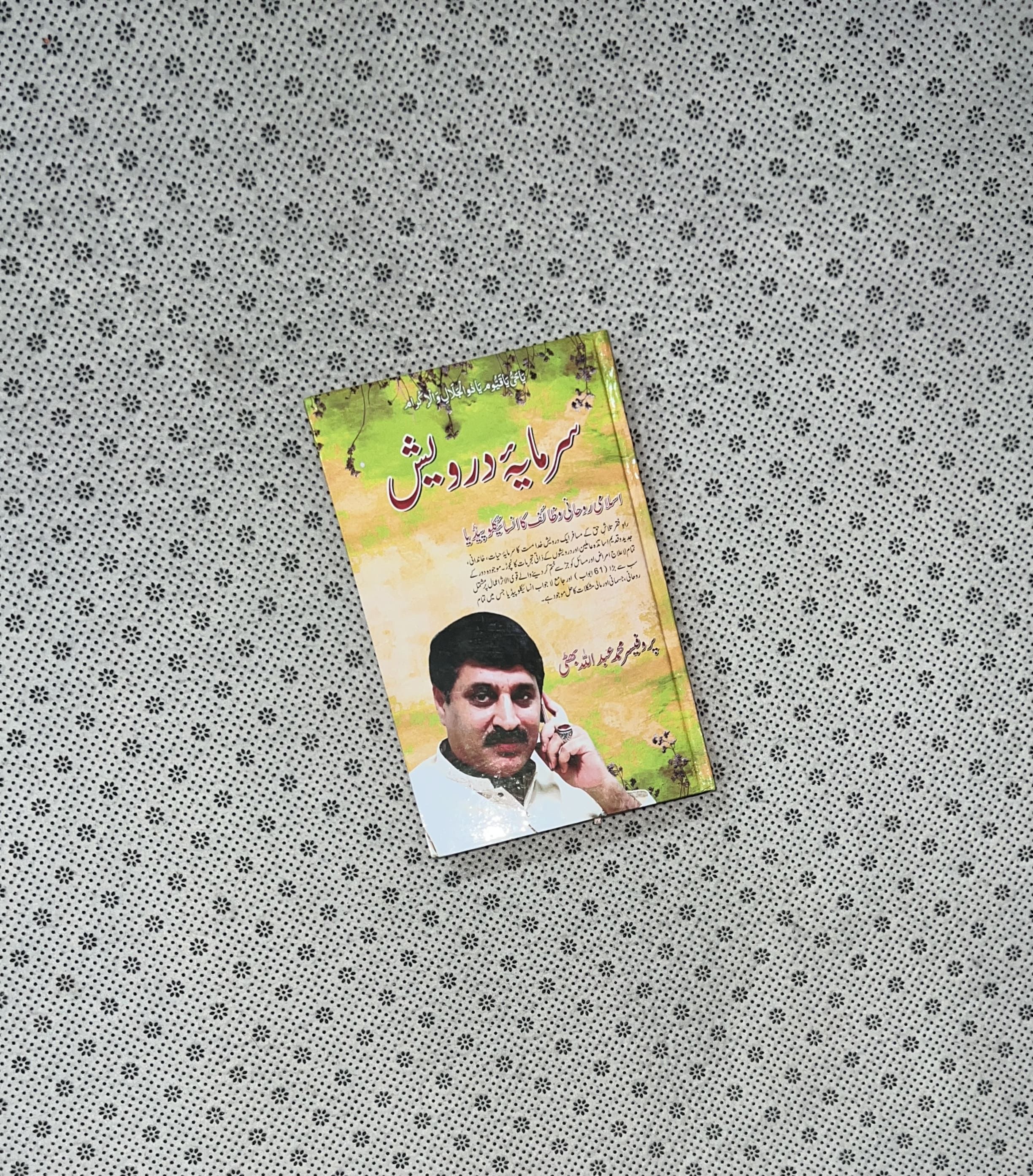 SARMAYA E DARVESH by Prof. Muhammad Abdullah Bhatti