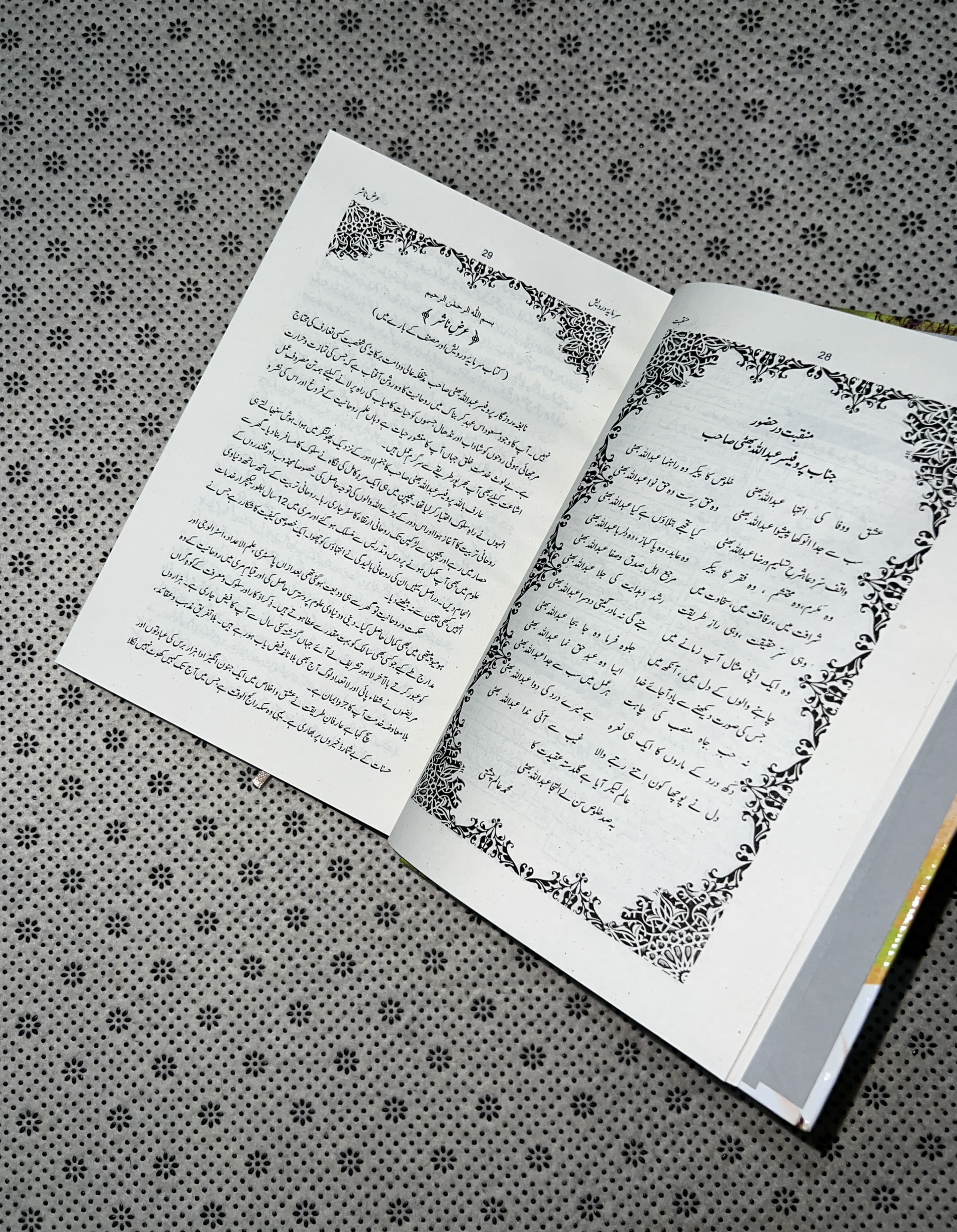 SARMAYA E DARVESH by Prof. Muhammad Abdullah Bhatti