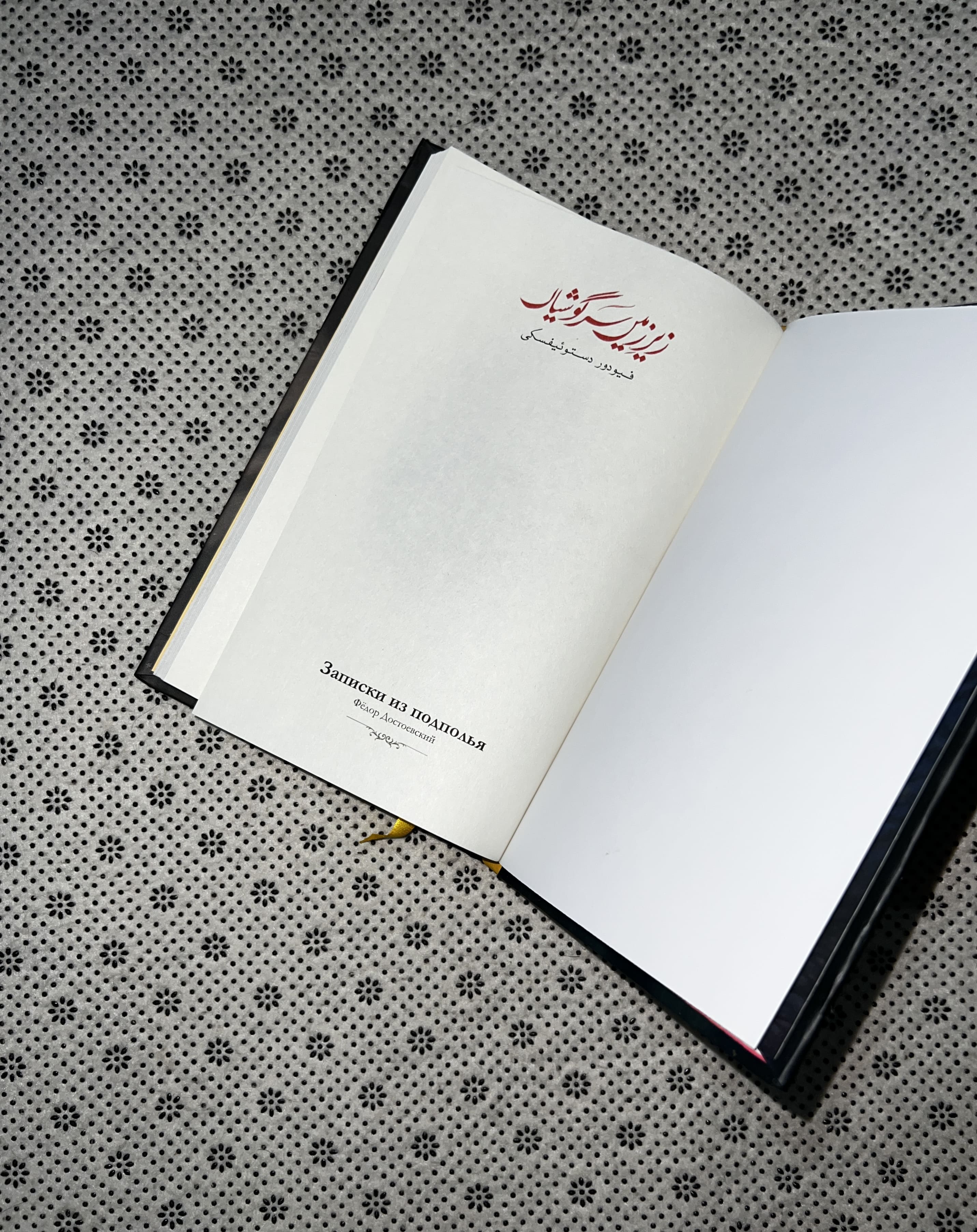 ZAIR-E-ZAMEEN SARGOSHIYAN (Notes from Underground: Urdu Translation) by Fyodor Dostoevsky