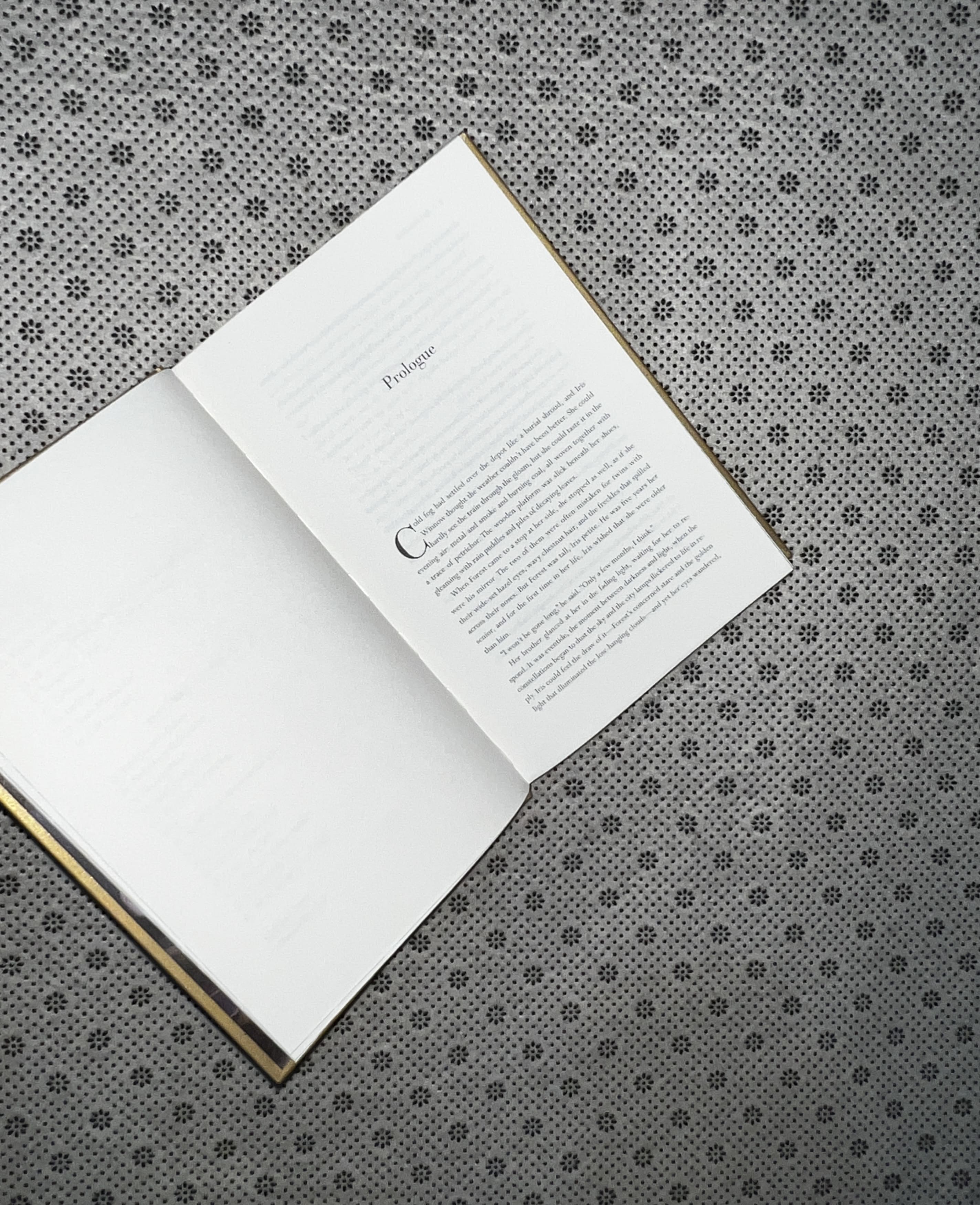 DIVINE RIVALS: Letters of Enchantment Series (Book 1) Collector's Edition by Rebecca Ross