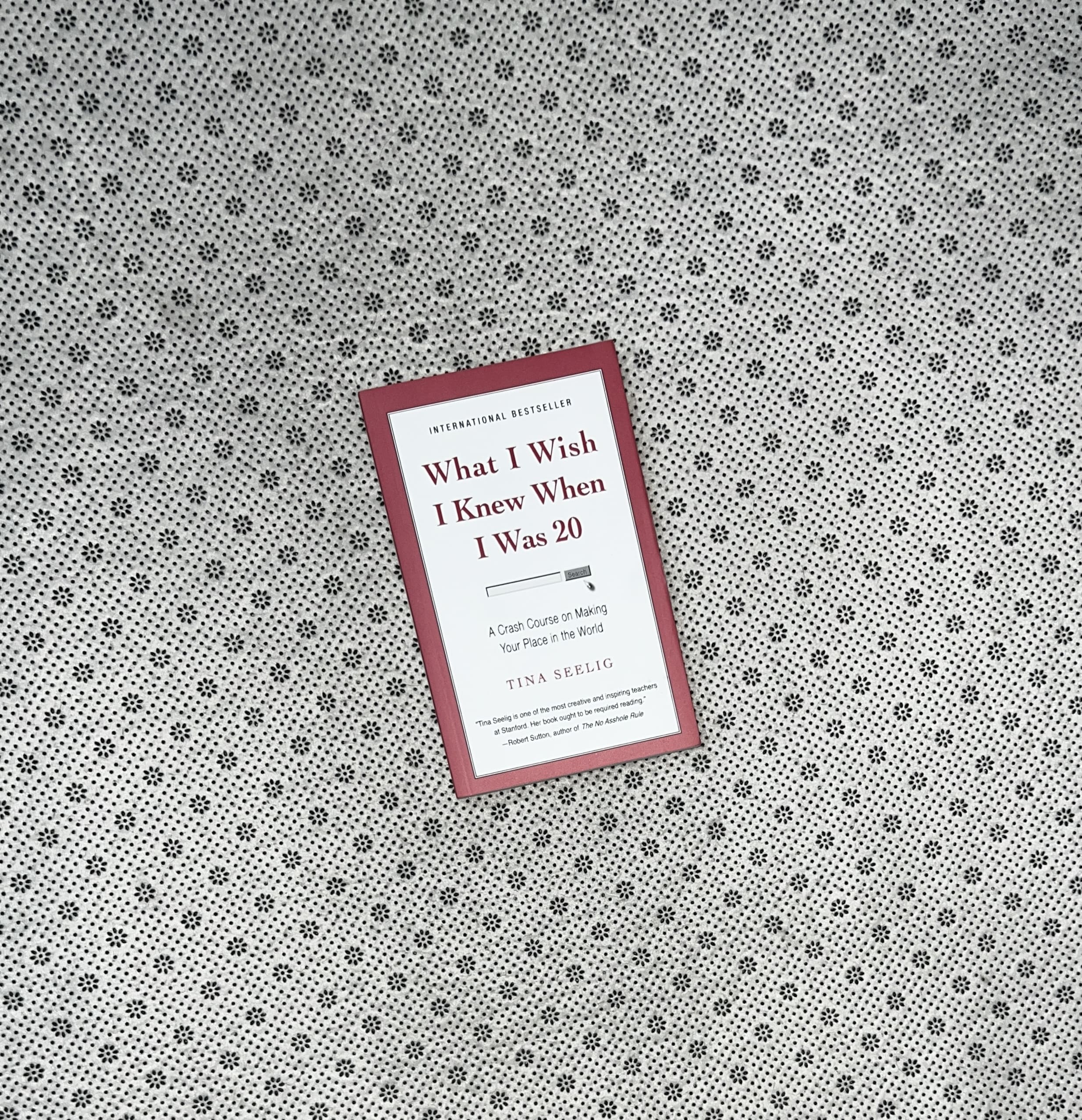 WHAT I WISH I KNEW WHEN I WAS 20: A Crash Course on Making Your Place in the World by Tina Seelig 