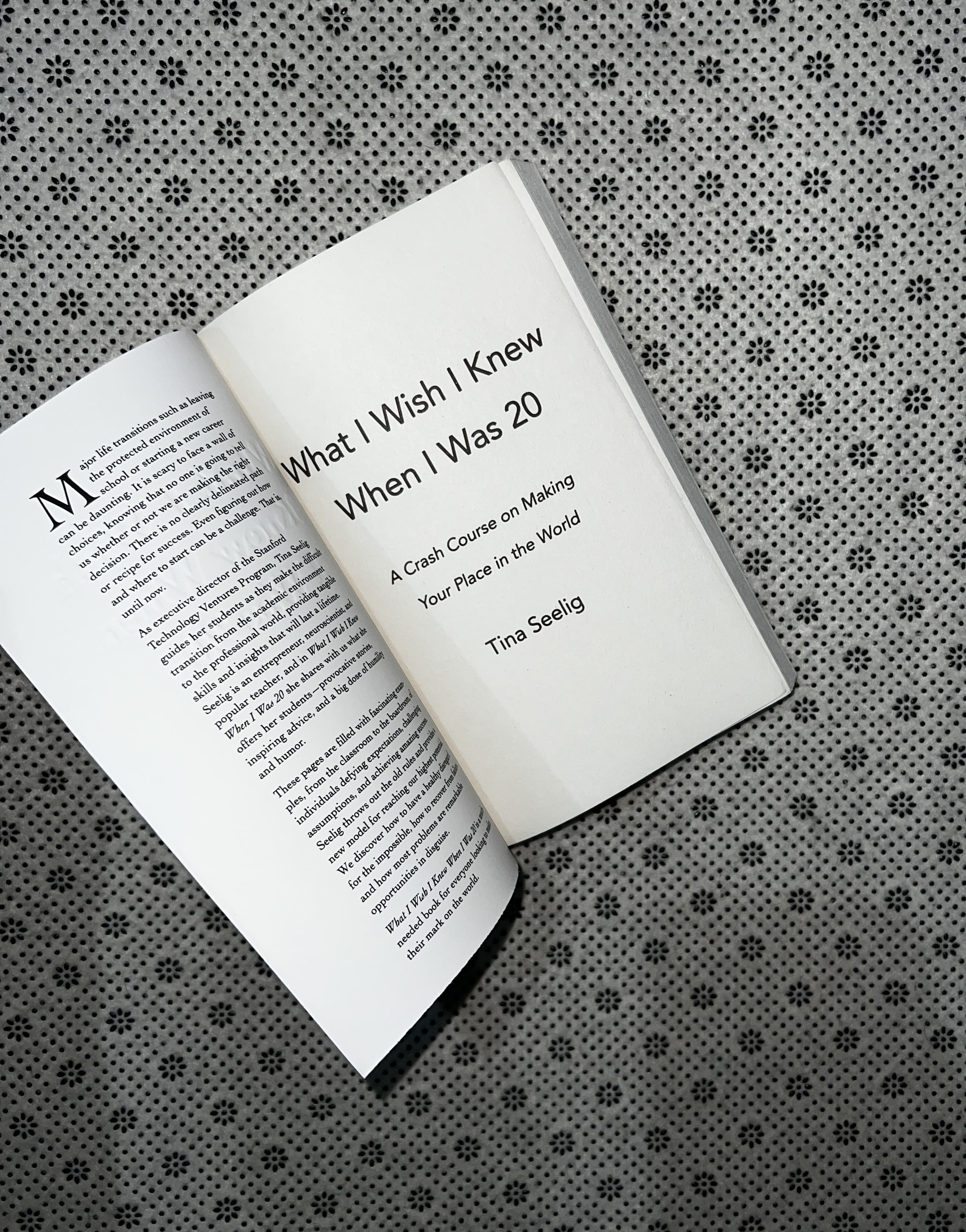 WHAT I WISH I KNEW WHEN I WAS 20: A Crash Course on Making Your Place in the World by Tina Seelig 