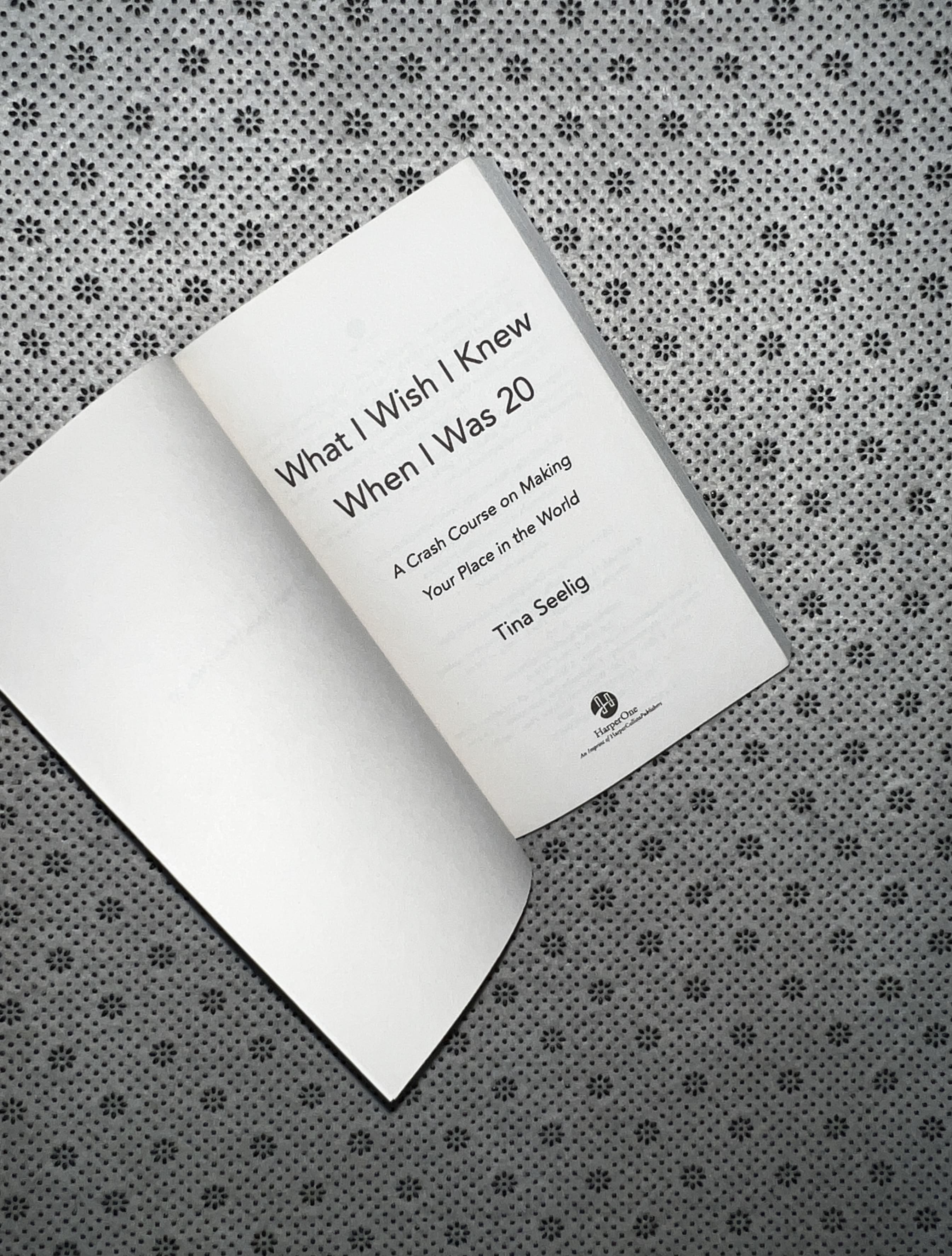 WHAT I WISH I KNEW WHEN I WAS 20: A Crash Course on Making Your Place in the World by Tina Seelig 