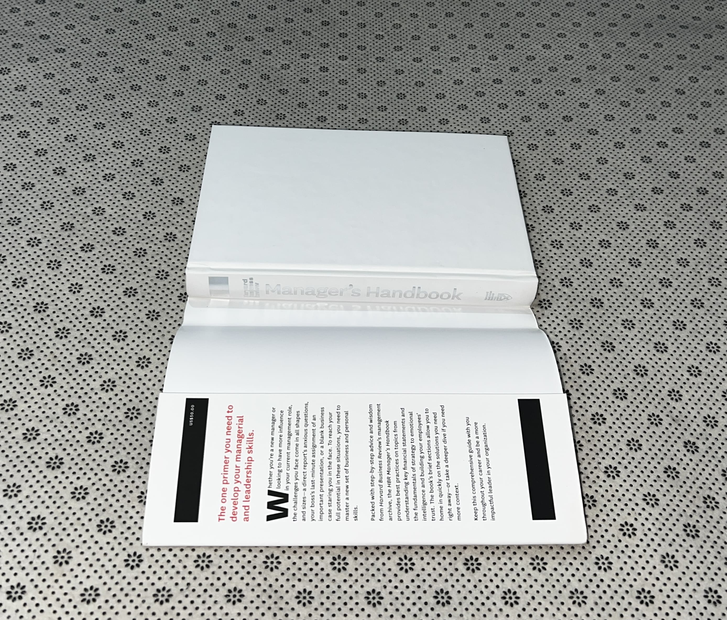 HARVARD BUSINESS REVIEW MANAGER'S HANDBOOK: THE 17 SKILLS LEADERS NEED TO STAND OUT by Harvard Business School 