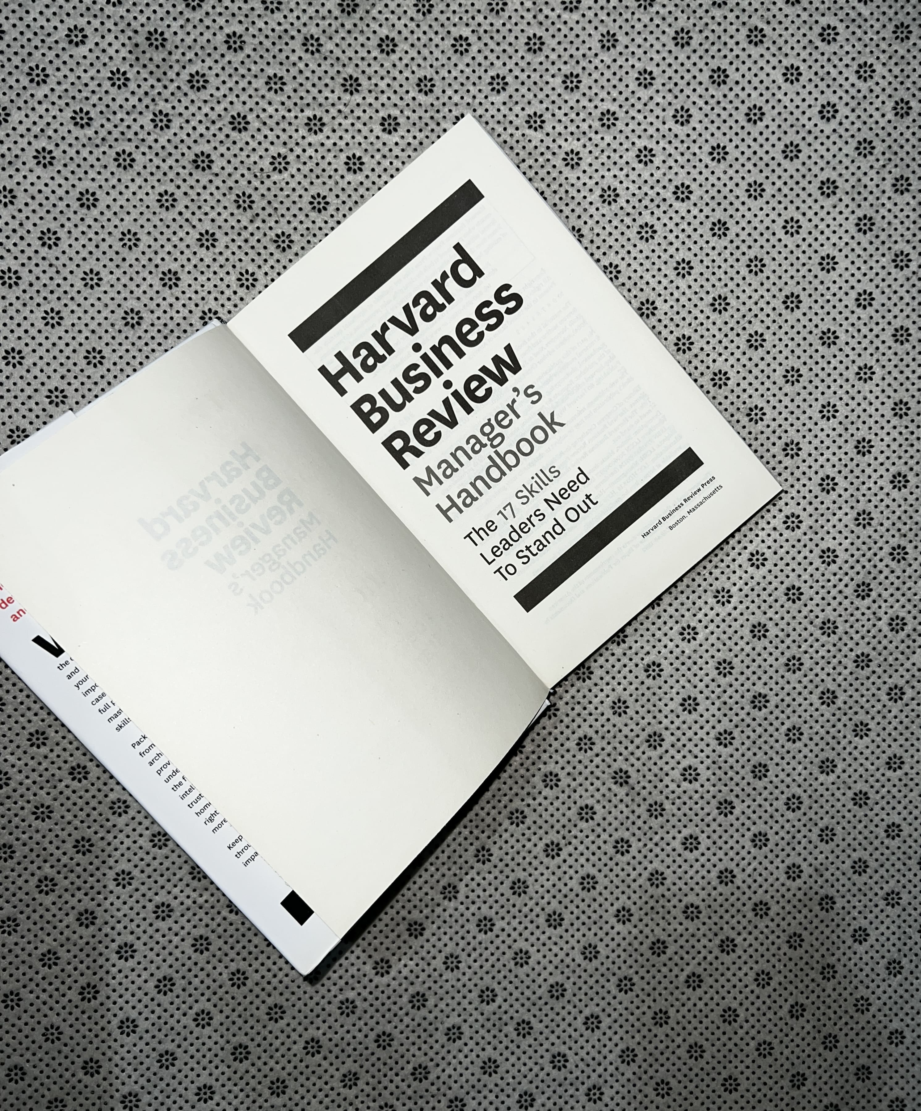HARVARD BUSINESS REVIEW MANAGER'S HANDBOOK: THE 17 SKILLS LEADERS NEED TO STAND OUT by Harvard Business School 