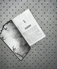 BLOOD & ROSES VOLUME 1 by Callie Hart