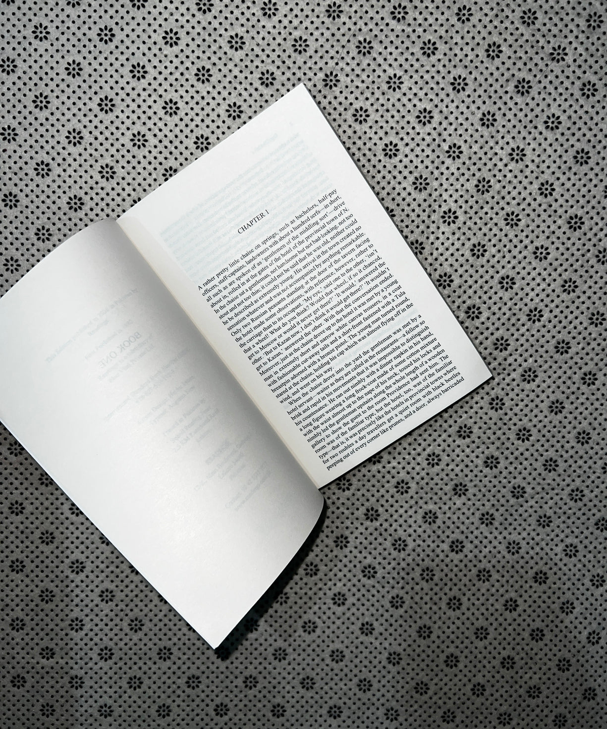 DEAD SOULS by Nikolai Gogol