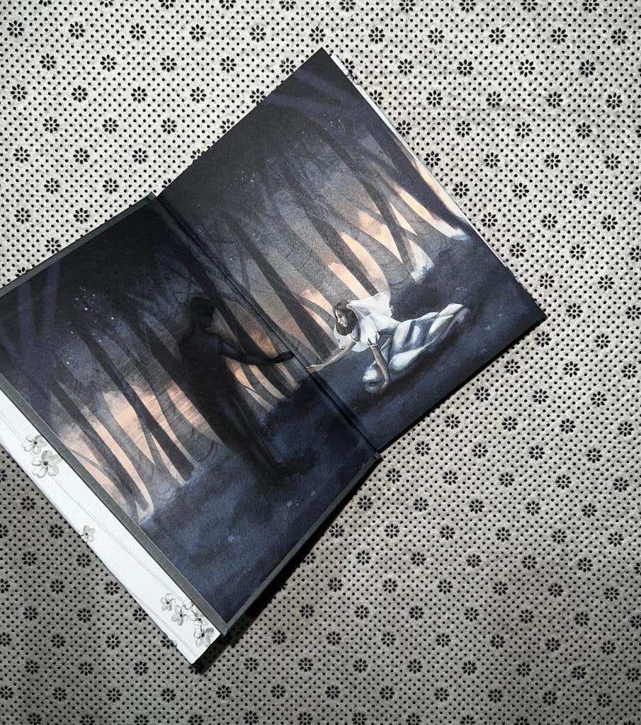 the invisible life of addie larue illustrated edition by v e schwab