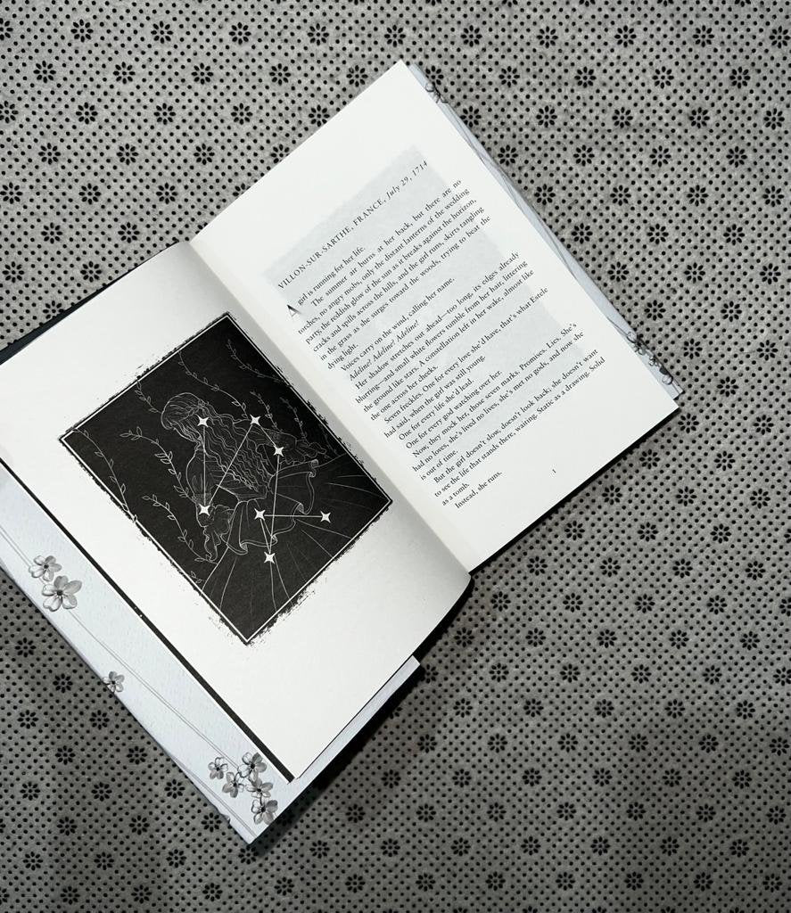 the invisible life of addie larue illustrated edition by v e schwab