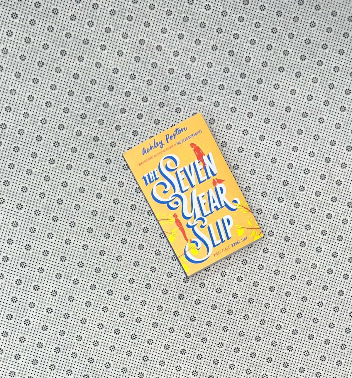the seven year slip by ashley poston