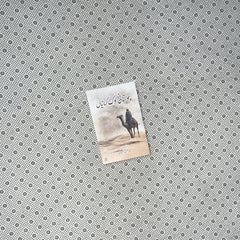 CHOLISTANI LOK KAHAANIYAN by Ahmed Ghazaali Shaheedi