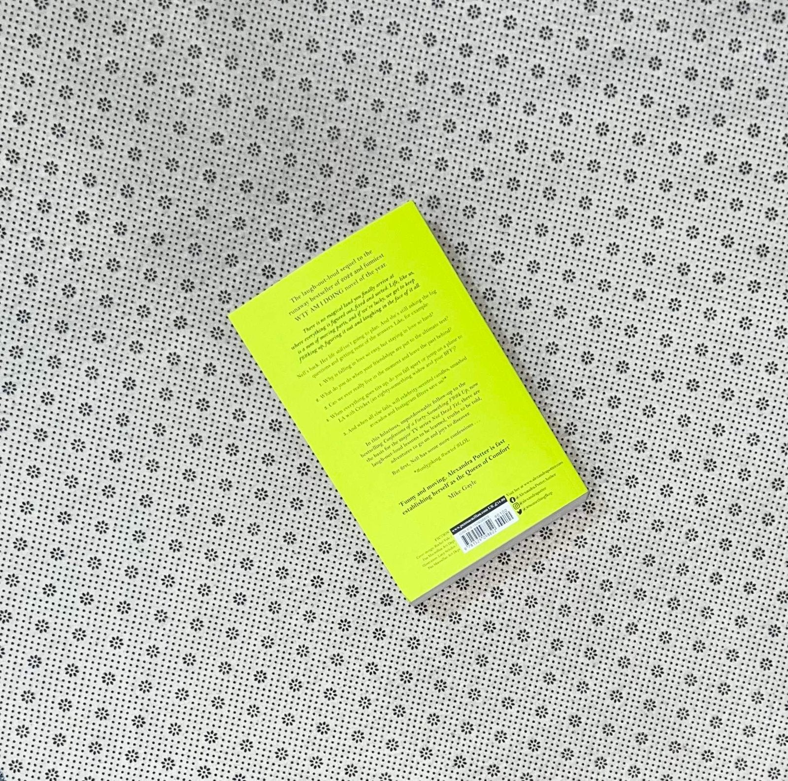 more confessions of a forty something f k up by alexandra potter