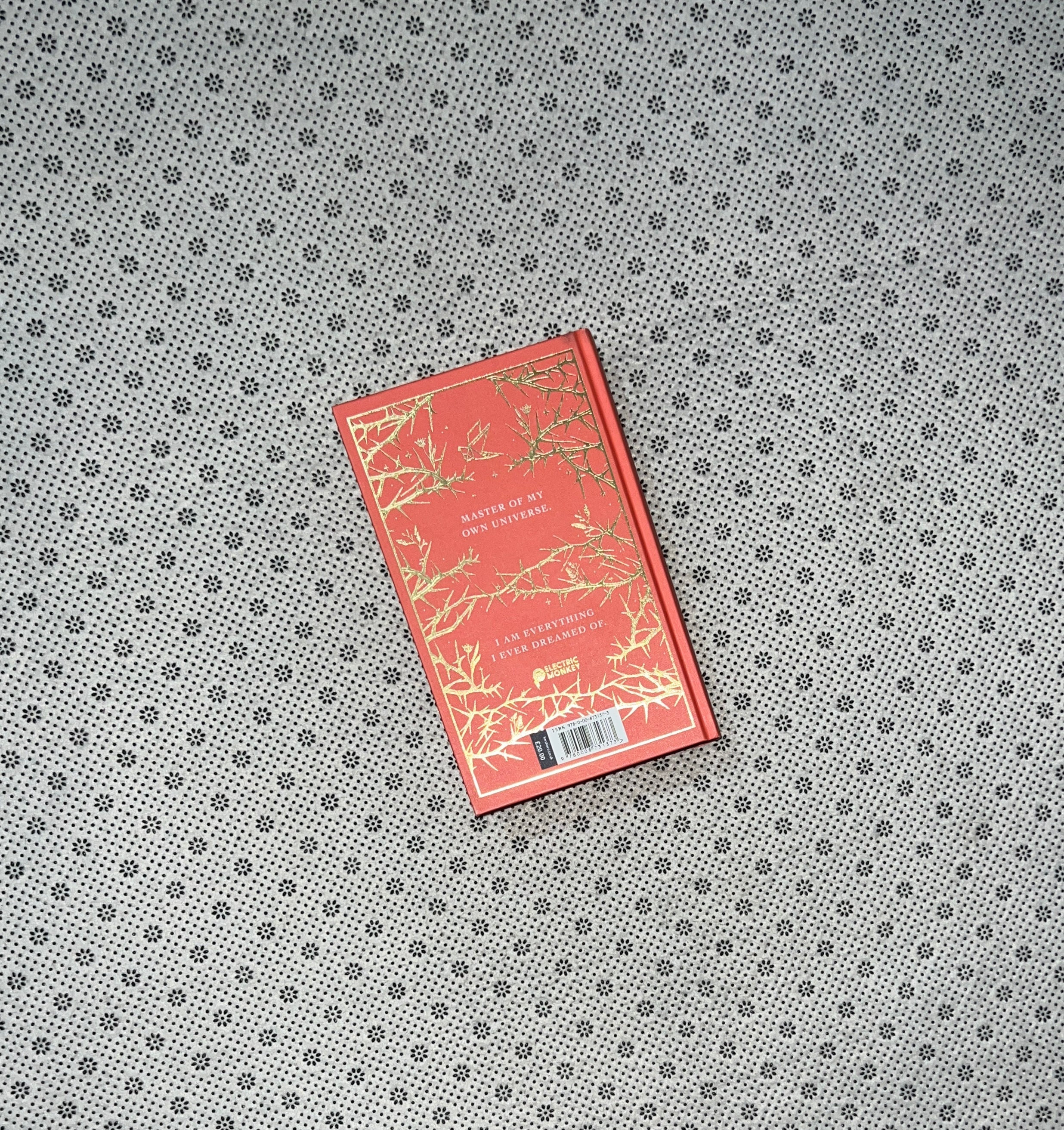 IMAGINE ME: Shatter Me Series (Book 6) (Special Collectors Edition) by Tahereh Mafi