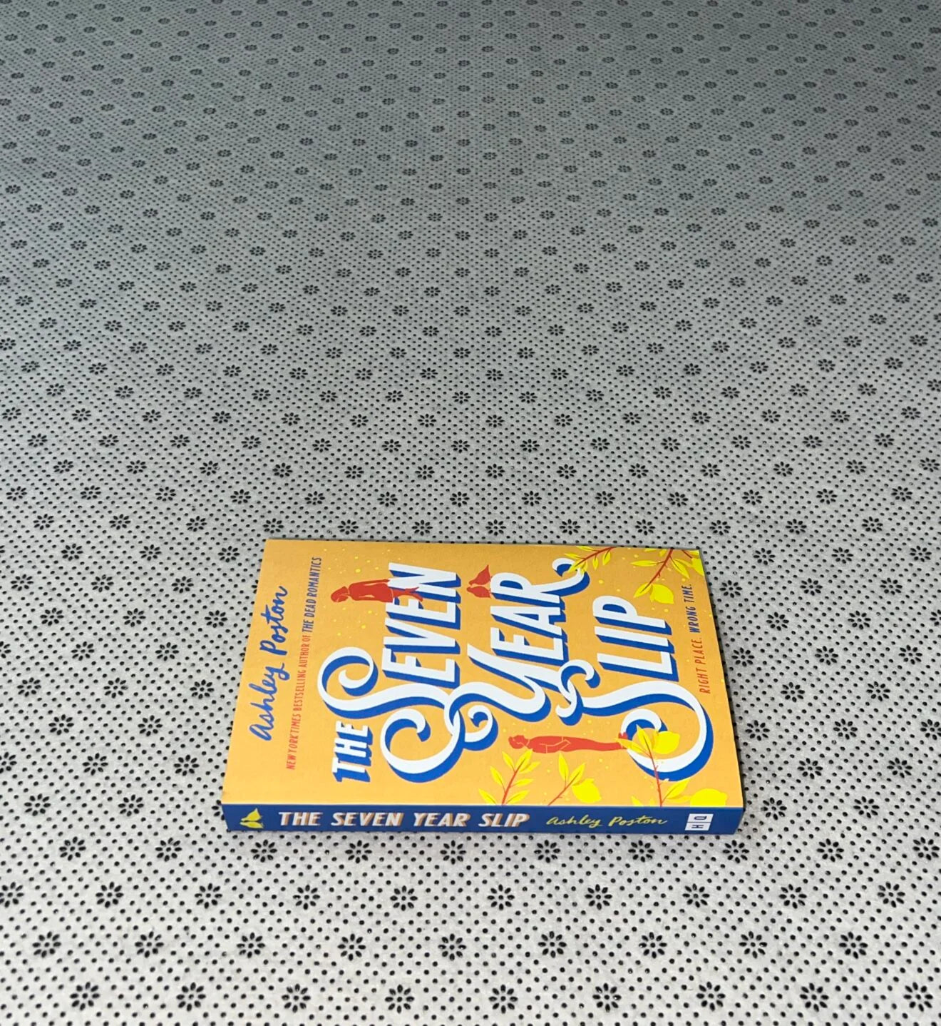 the seven year slip by ashley poston