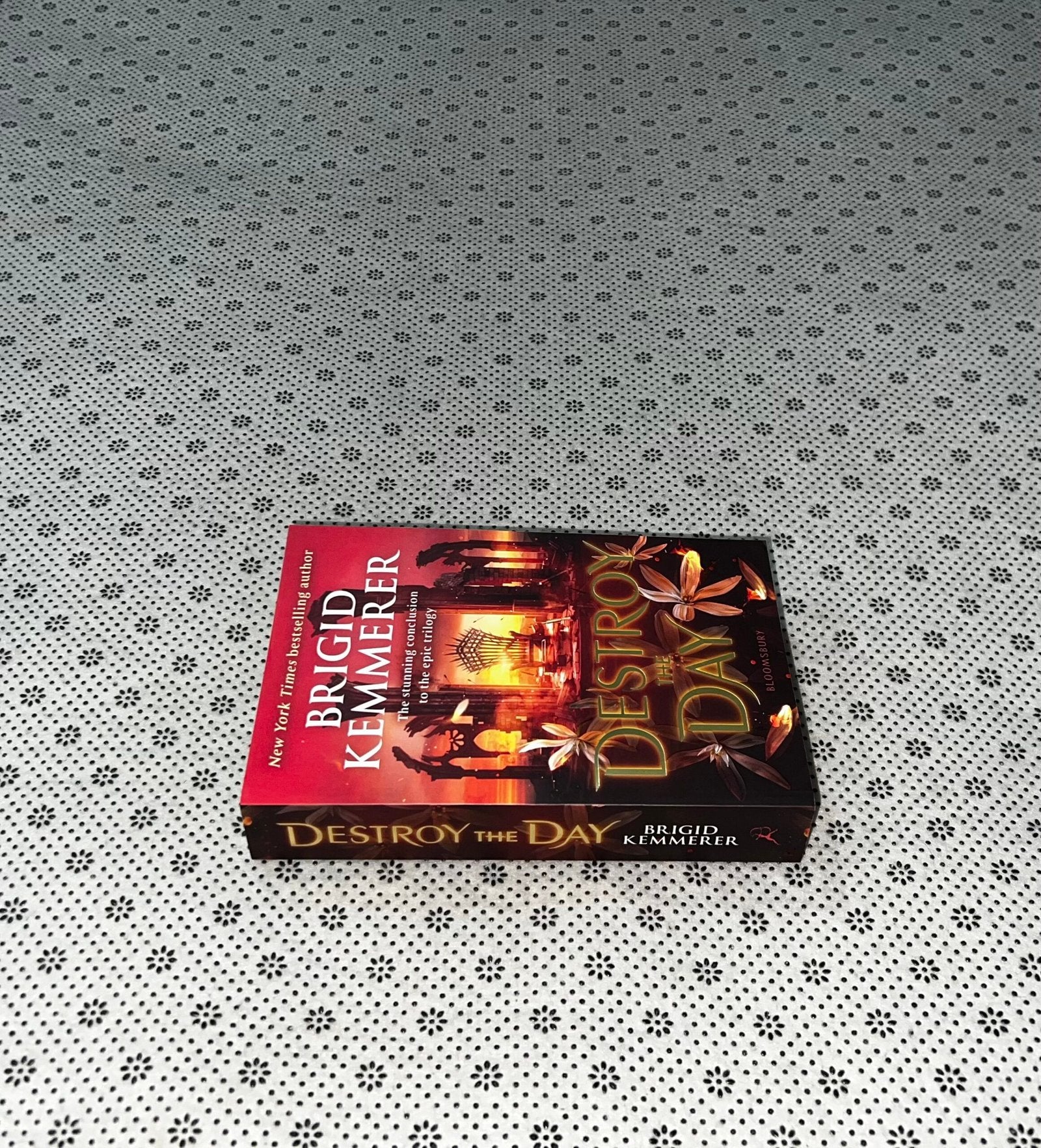 destroy the day defy the night series book 3 by brigid kemmerer
