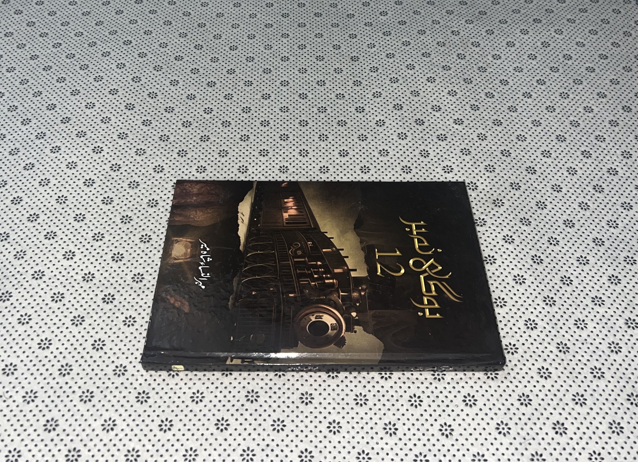 BOGHI NUMBER 12 by  Mehrulnisa Shahmeer