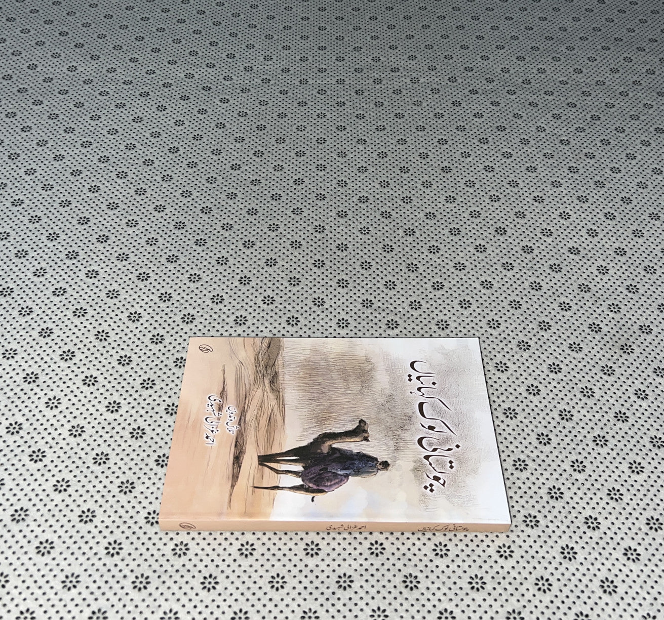 CHOLISTANI LOK KAHAANIYAN by Ahmed Ghazaali Shaheedi