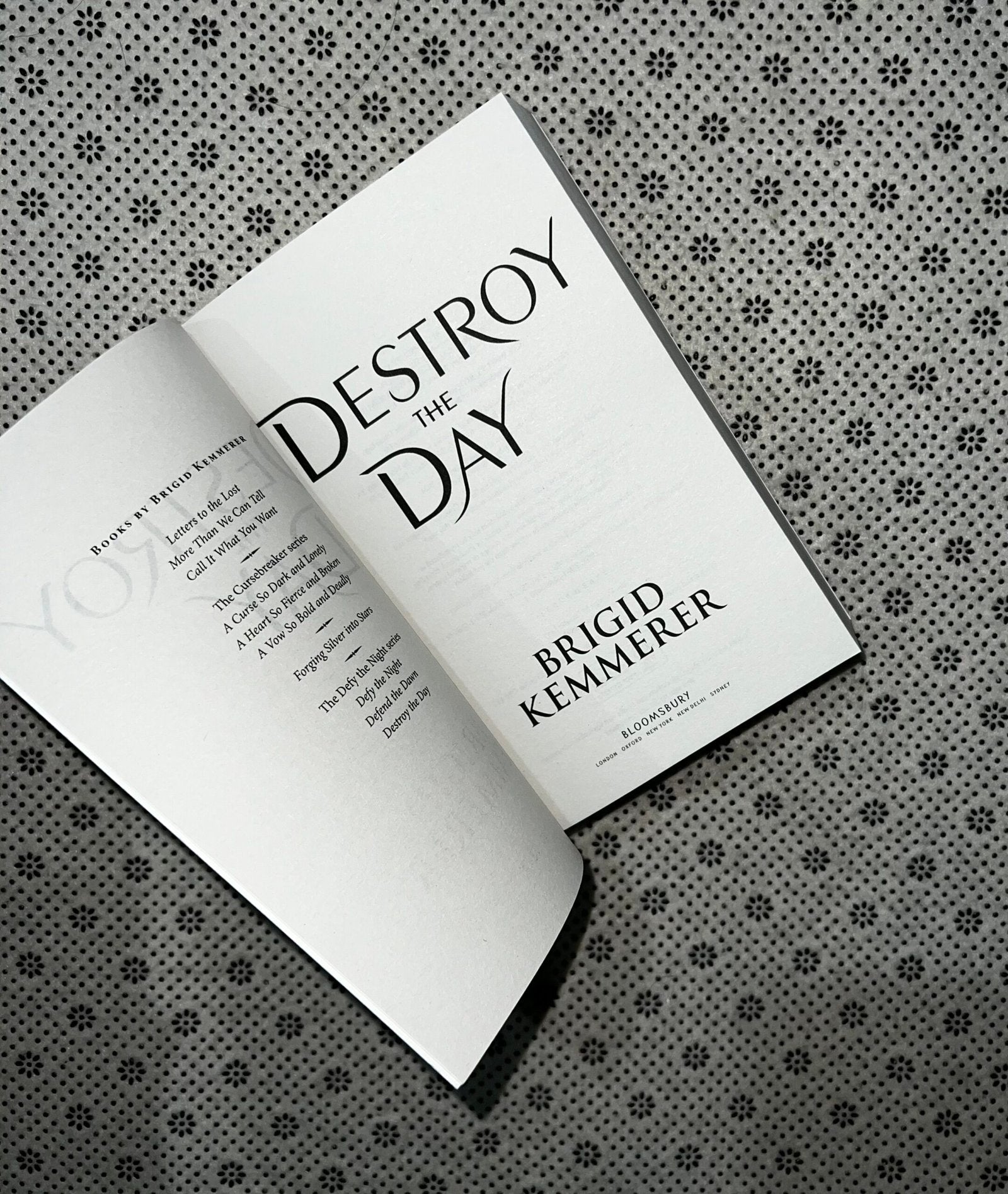 destroy the day defy the night series book 3 by brigid kemmerer