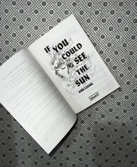 if you could see the sun by ann liang 1
