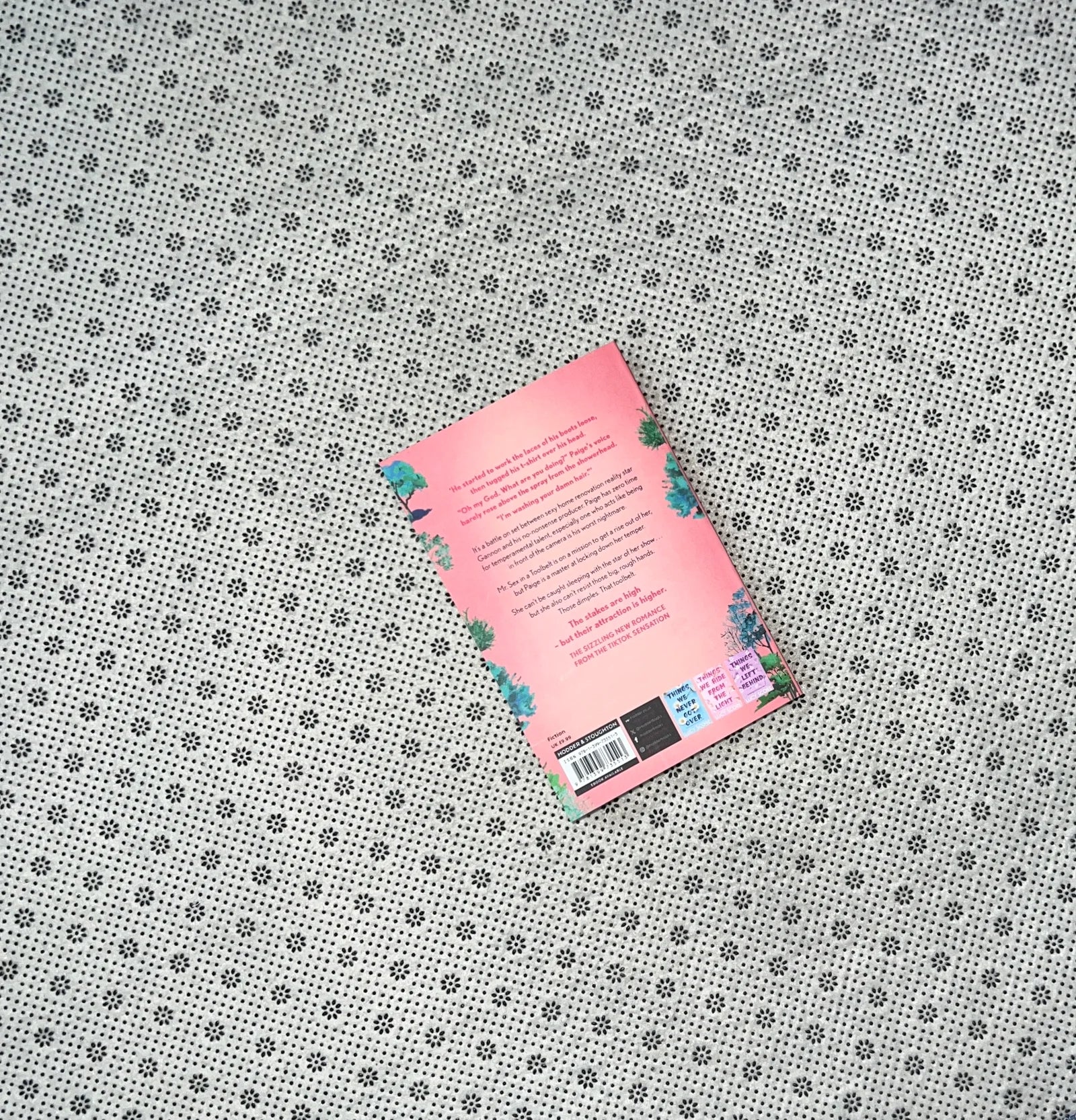 mr fixer upper by lucy score