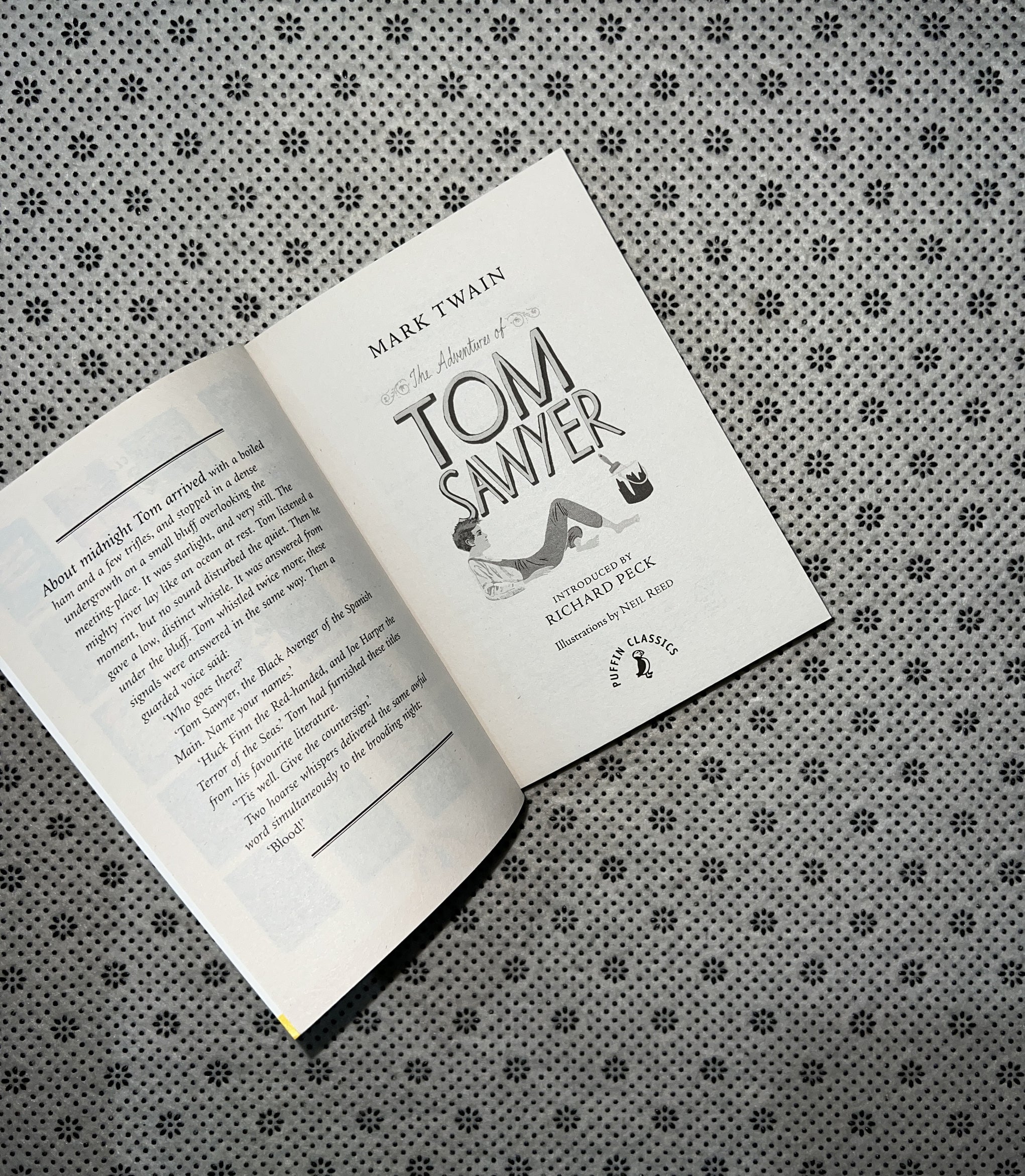 THE ADVENTURES OF TOM SAWYER by Mark Twain