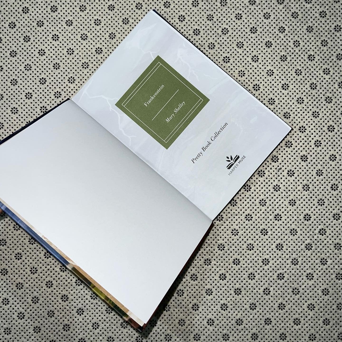 frankenstein pretty books painted edition by mary shelley