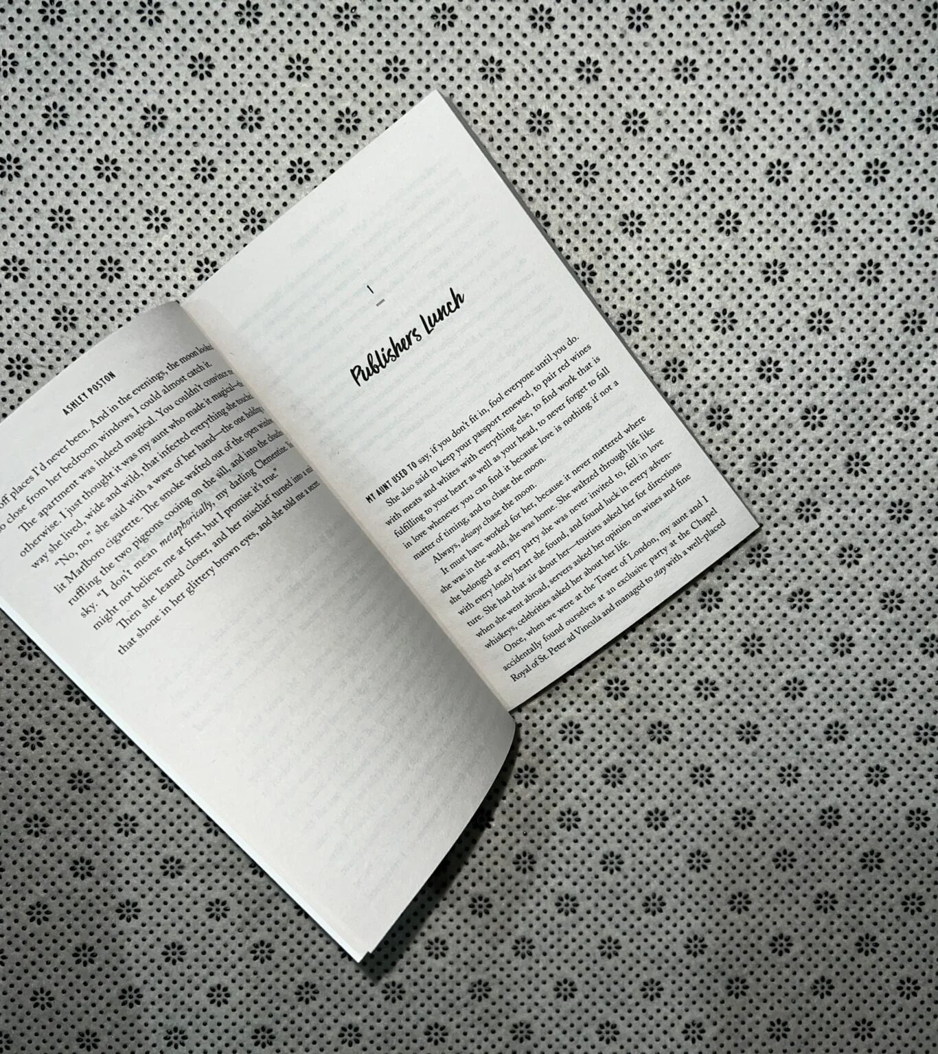 the seven year slip by ashley poston