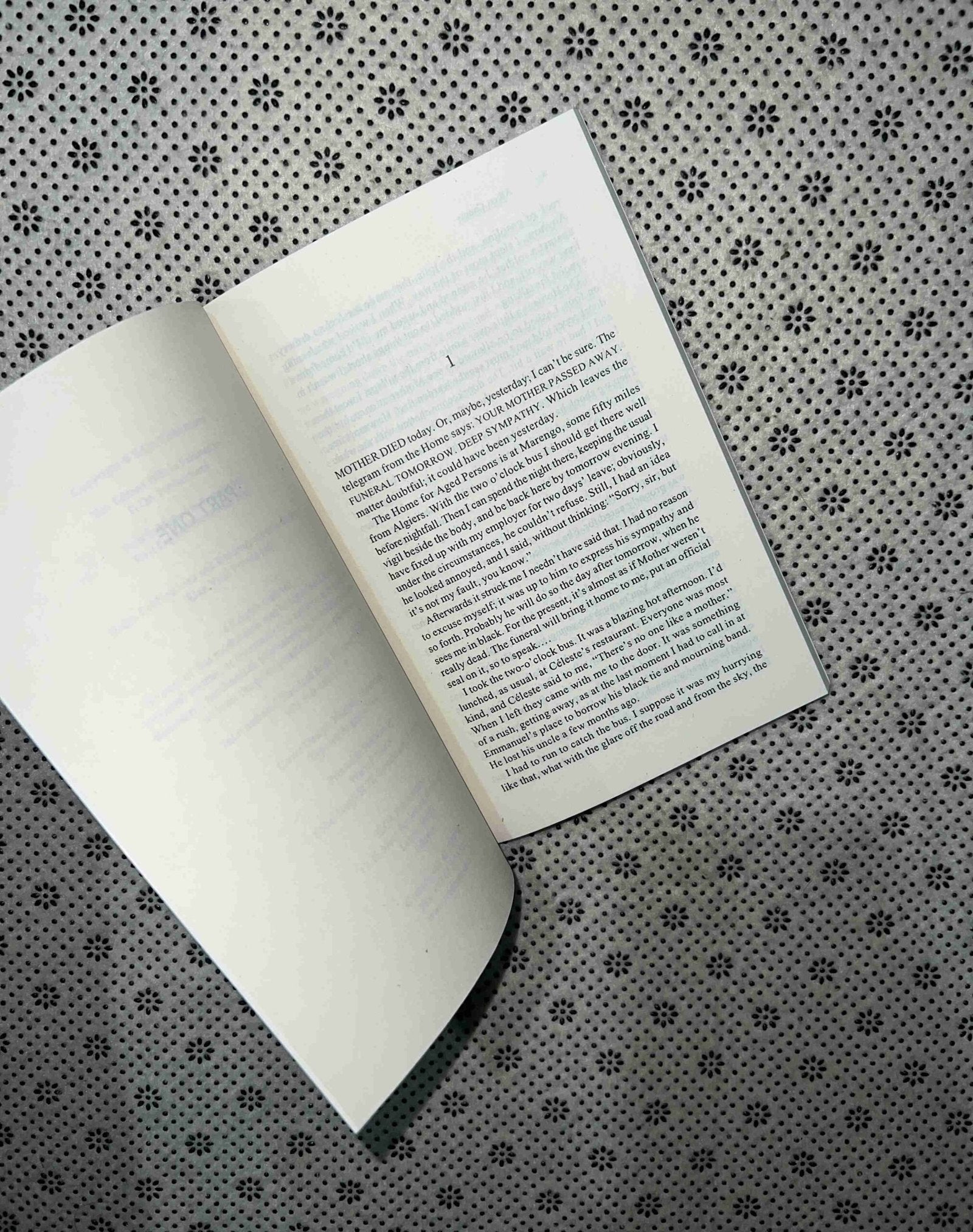 the stranger by albert camus