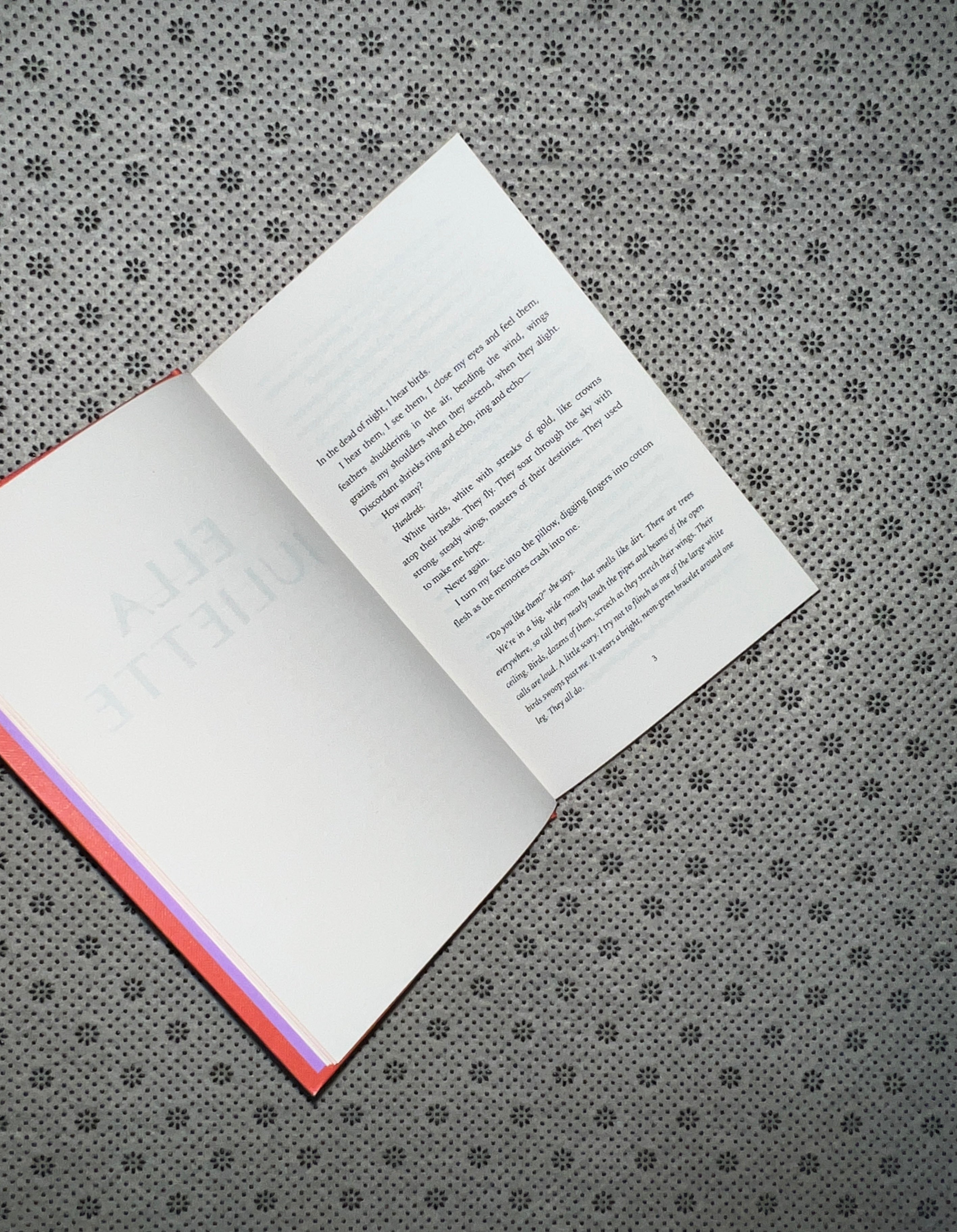 IMAGINE ME: Shatter Me Series (Book 6) (Special Collectors Edition) by Tahereh Mafi