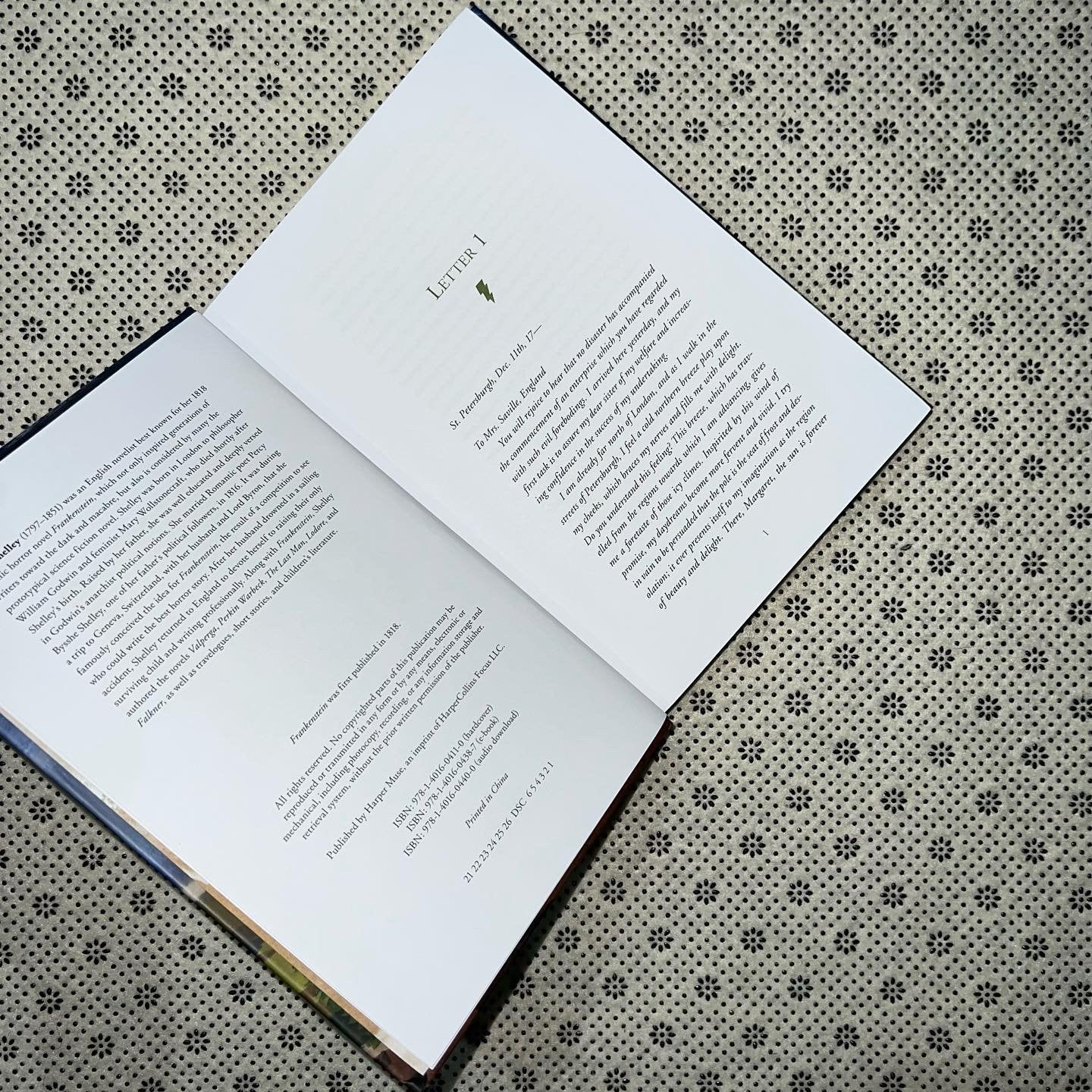 frankenstein pretty books painted edition by mary shelley