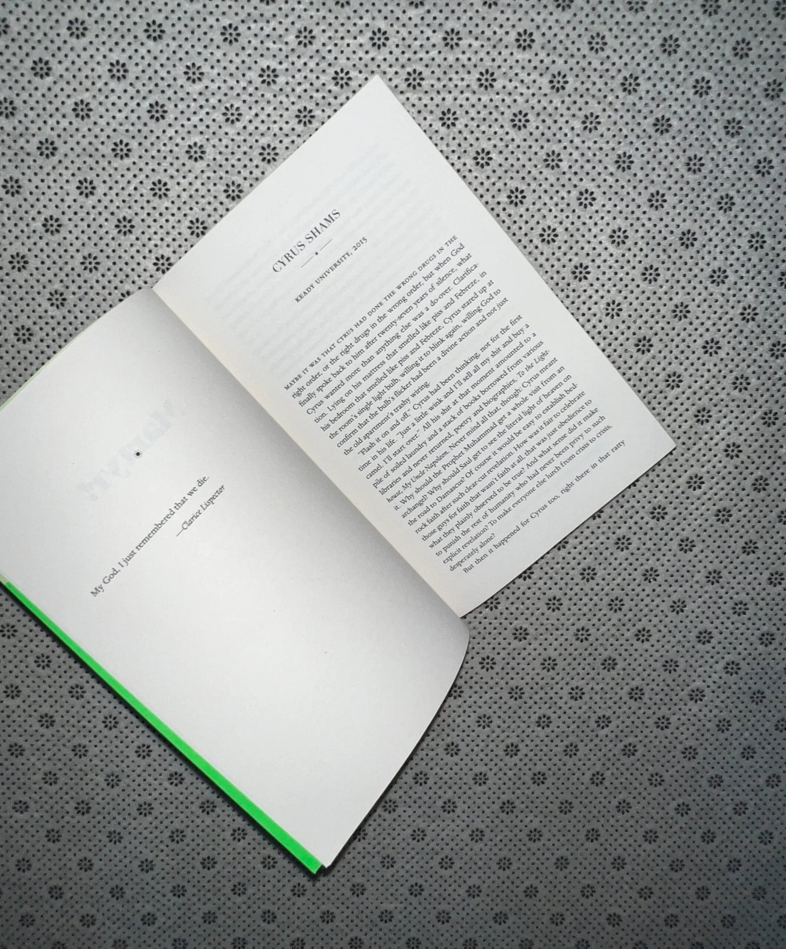 martyr by kaveh akbar