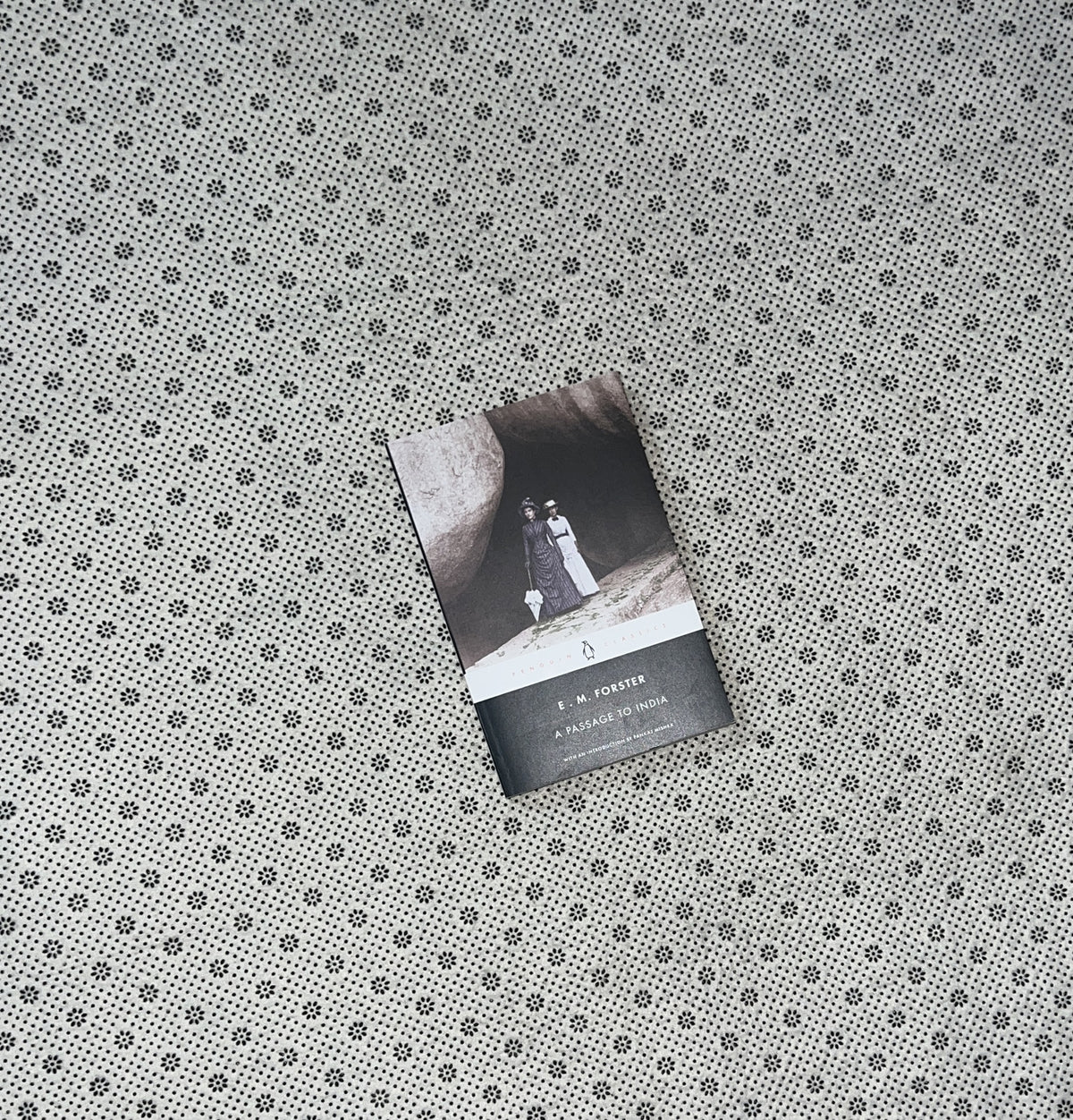 A PASSAGE TO INDIA by E.M. Forster 
