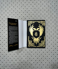king of scars foiled cover edition king of scars duology series book 1 by leigh bardugo