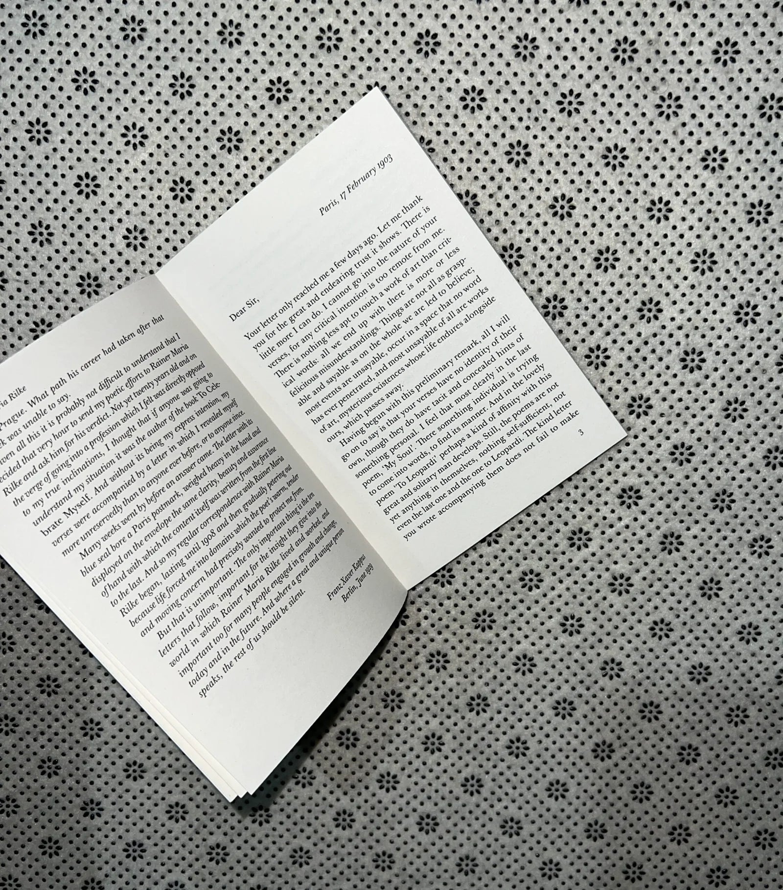 letters to a young poet little black classics 103 by rainer maria rilke