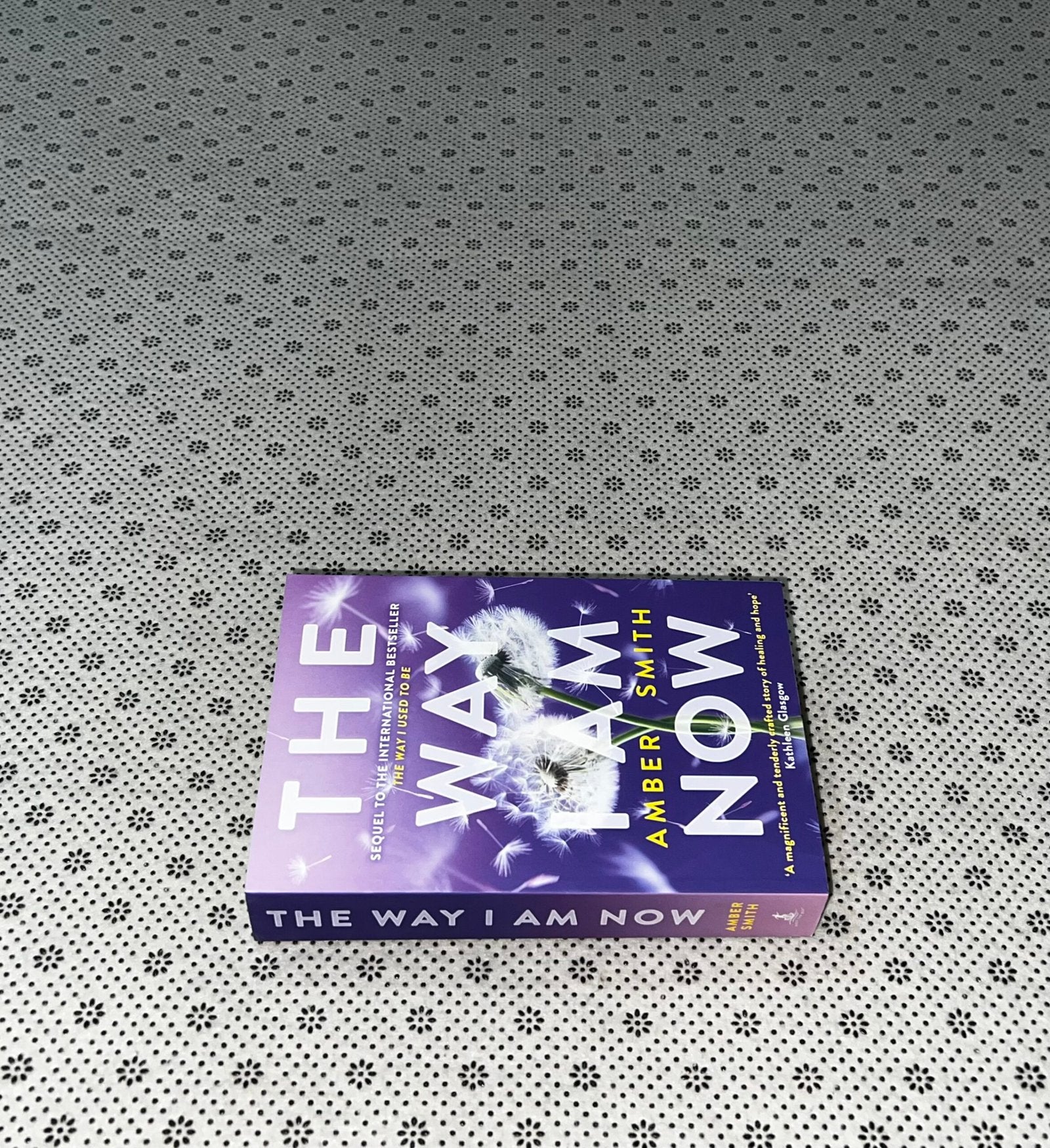 the way i am now the way i used to be seriesbook 2 by amber smith