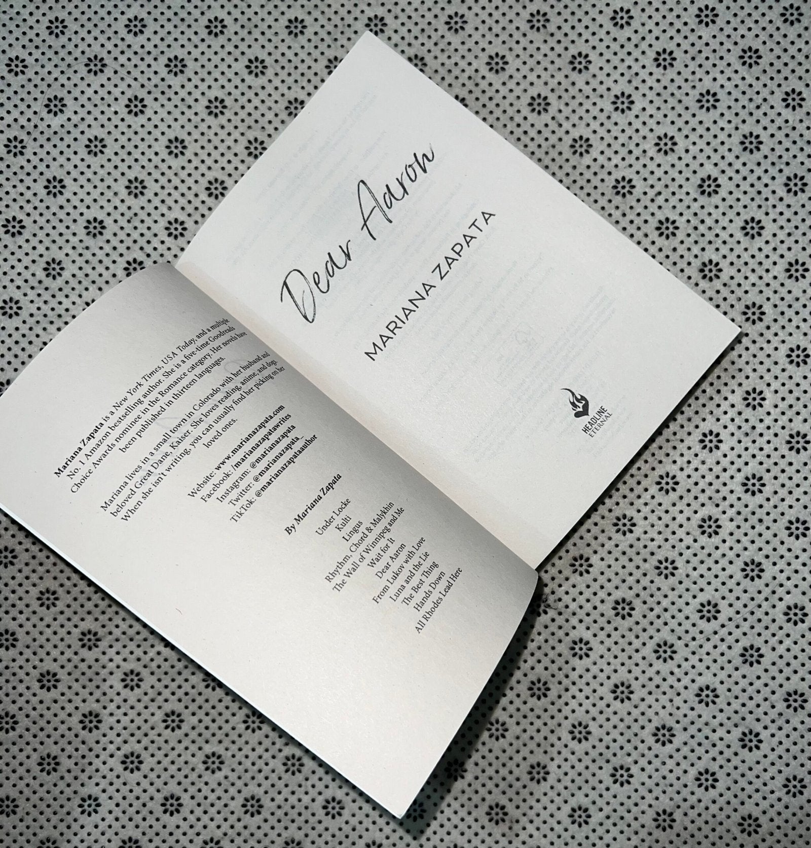 dear aaron by mariana zapata