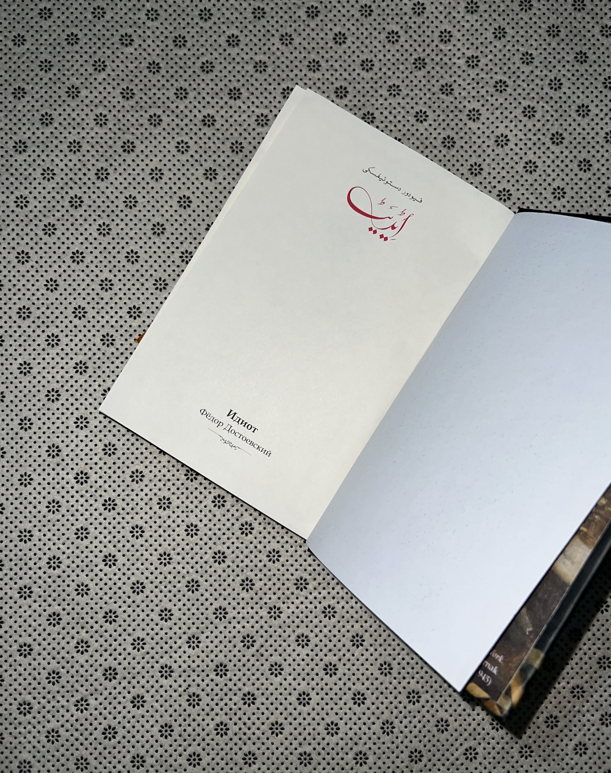 IDIOT (Urdu Version) by Fyodor Dostoevsky