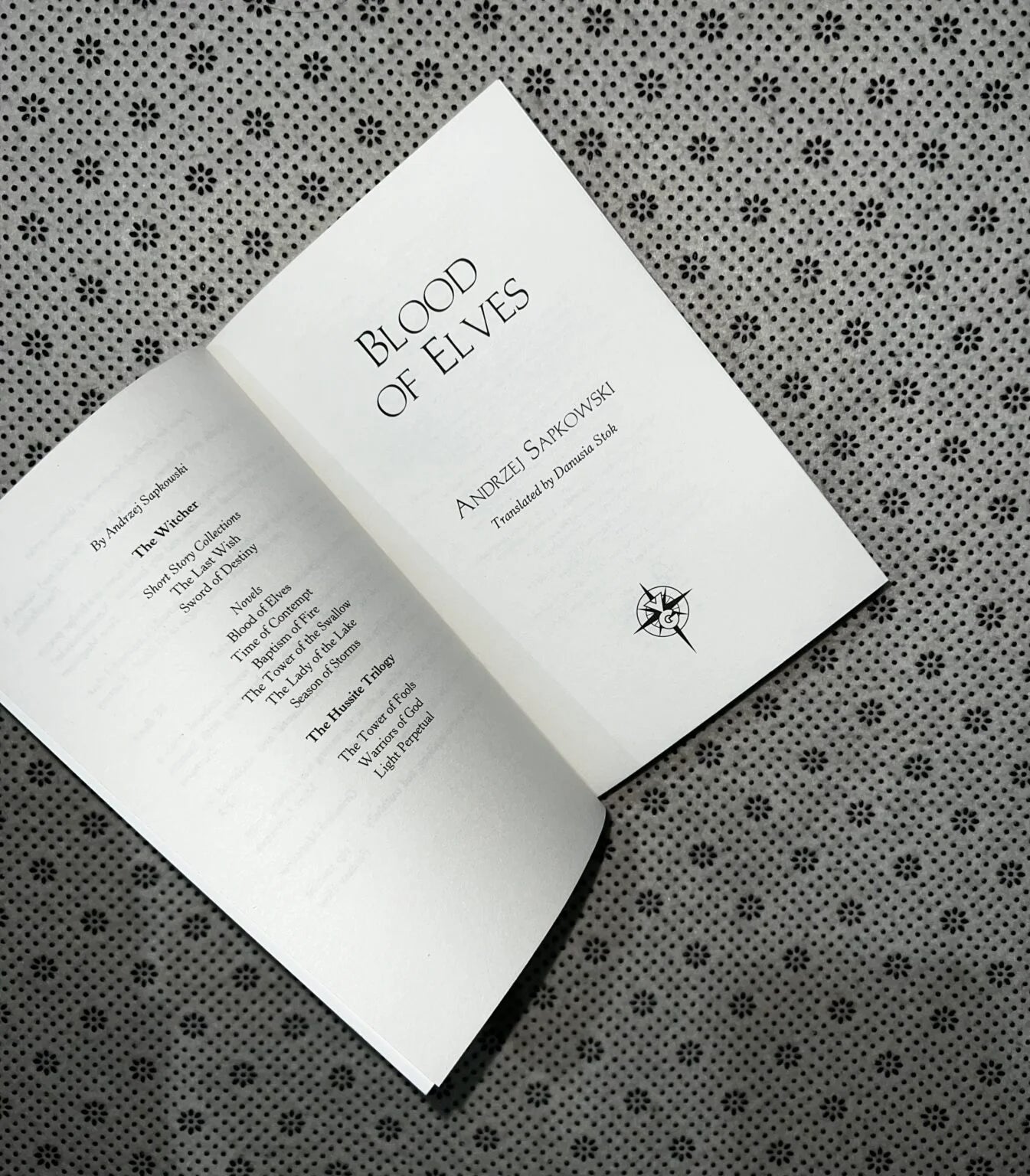 blood of elves the witcher series book 1 by andrzej sapkowski