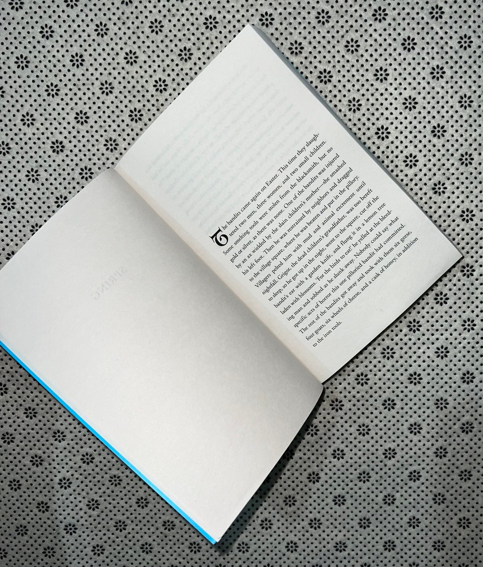 lapvona by ottessa moshfegh 1