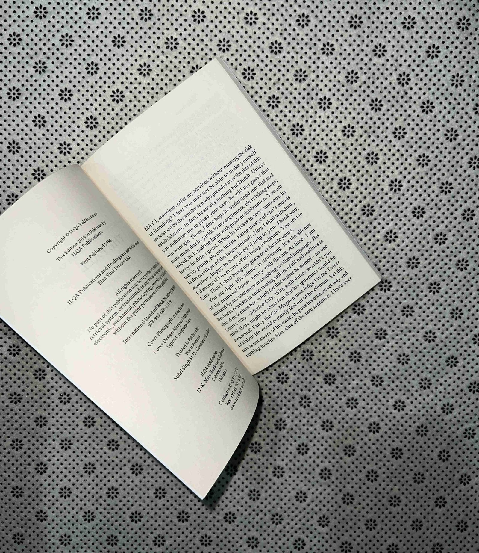 the fall by albert camus