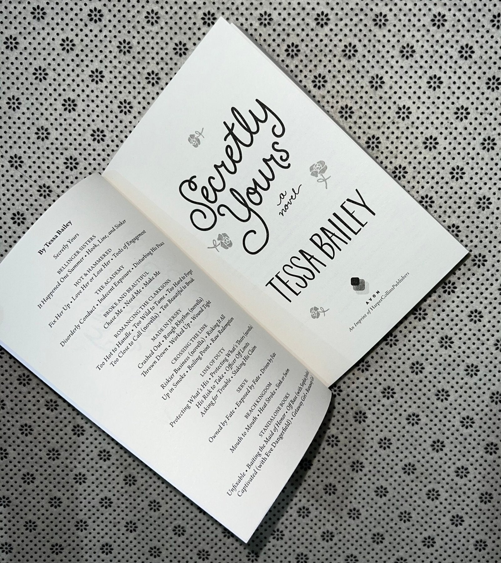 secretly yours vine mess series book 1 by tessa bailey