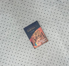 the magicians nephew the chronicles of narnia series book 1 by c s lewis